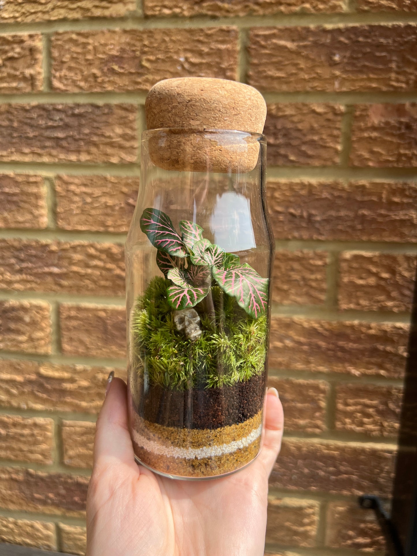 DIY Skull Terrarium Kit