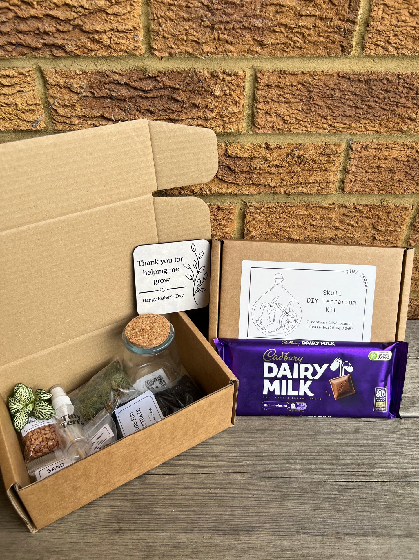 Father’s Day DIY Terrarium Kit Bundle