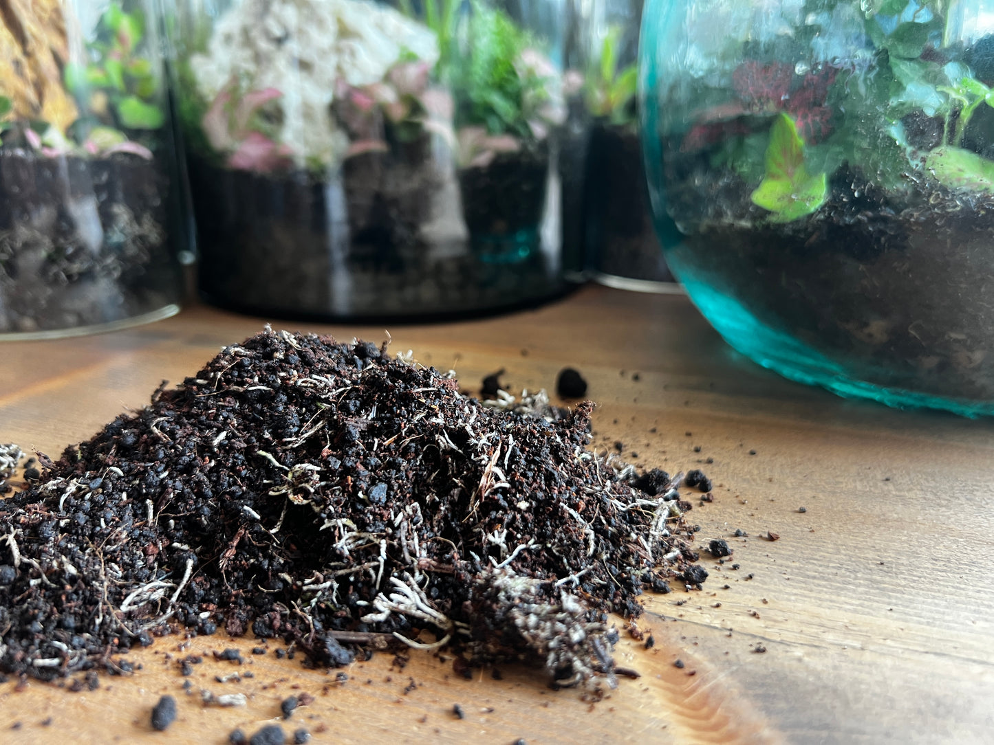 Terrarium Substrate Mix