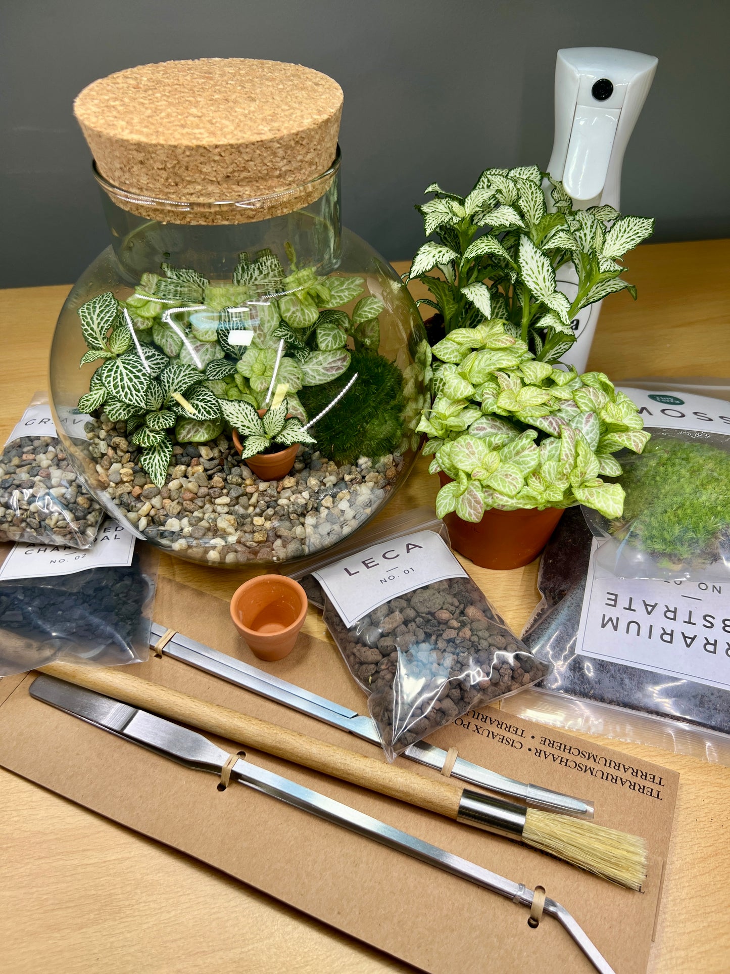 DIY Globe Terrarium Kit