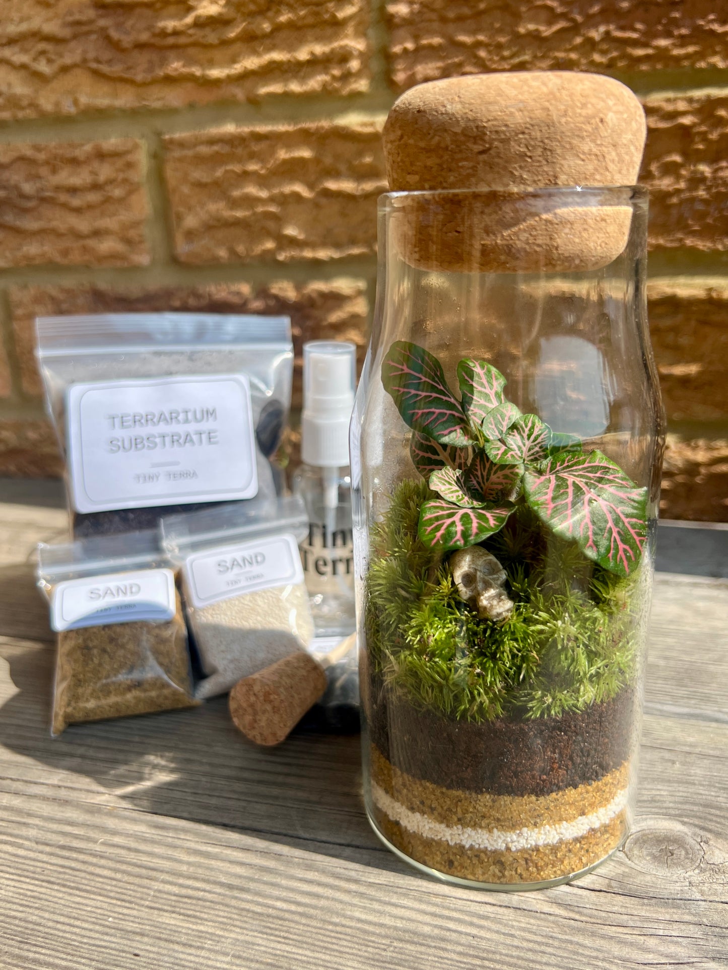 DIY Skull Terrarium Kit