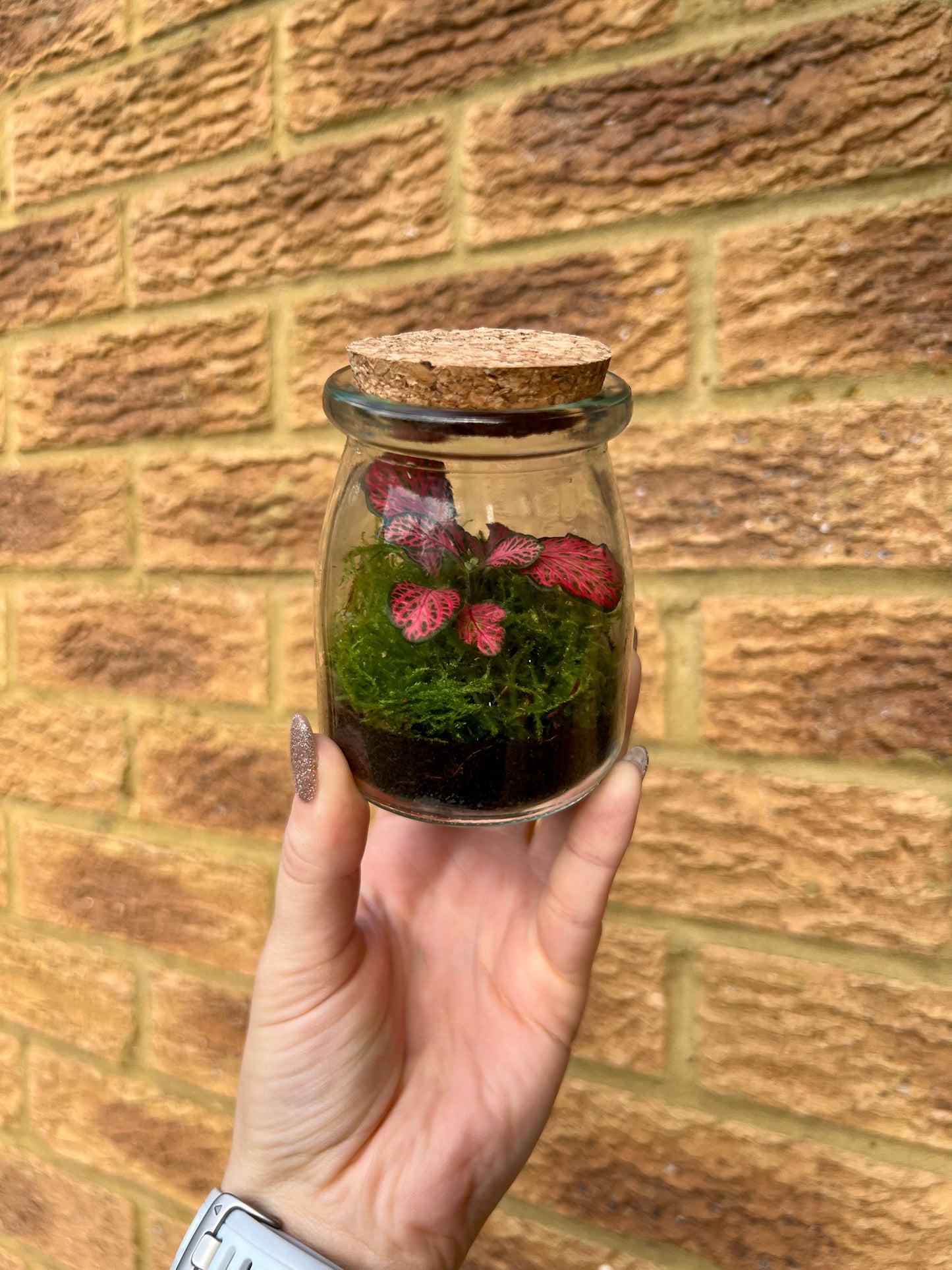 Ready Built Terrarium