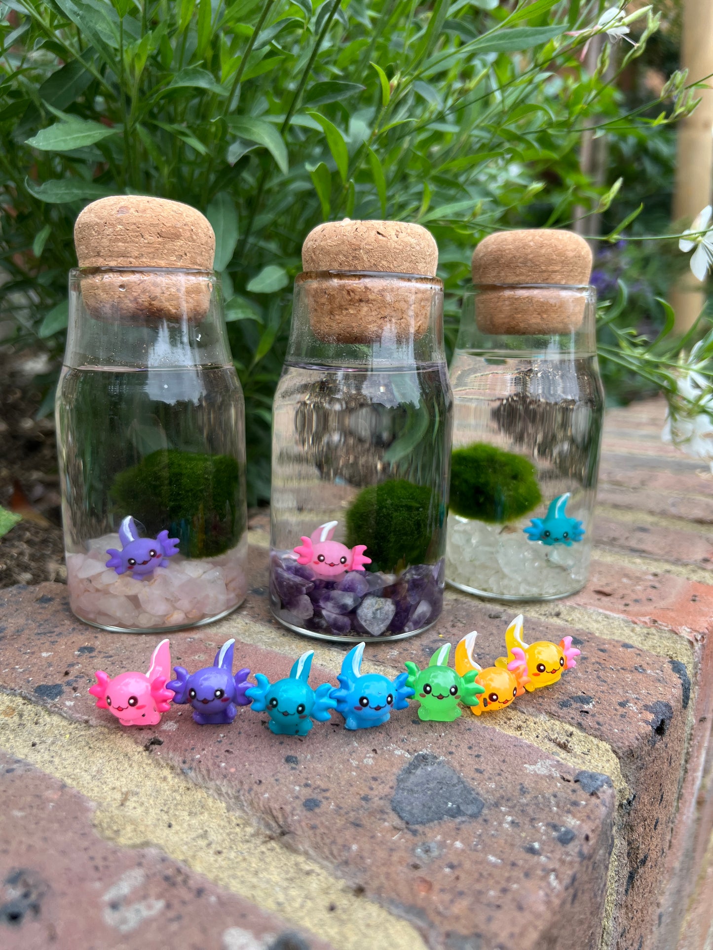 Monty the Mini Moss Ball with Mini Axolotl