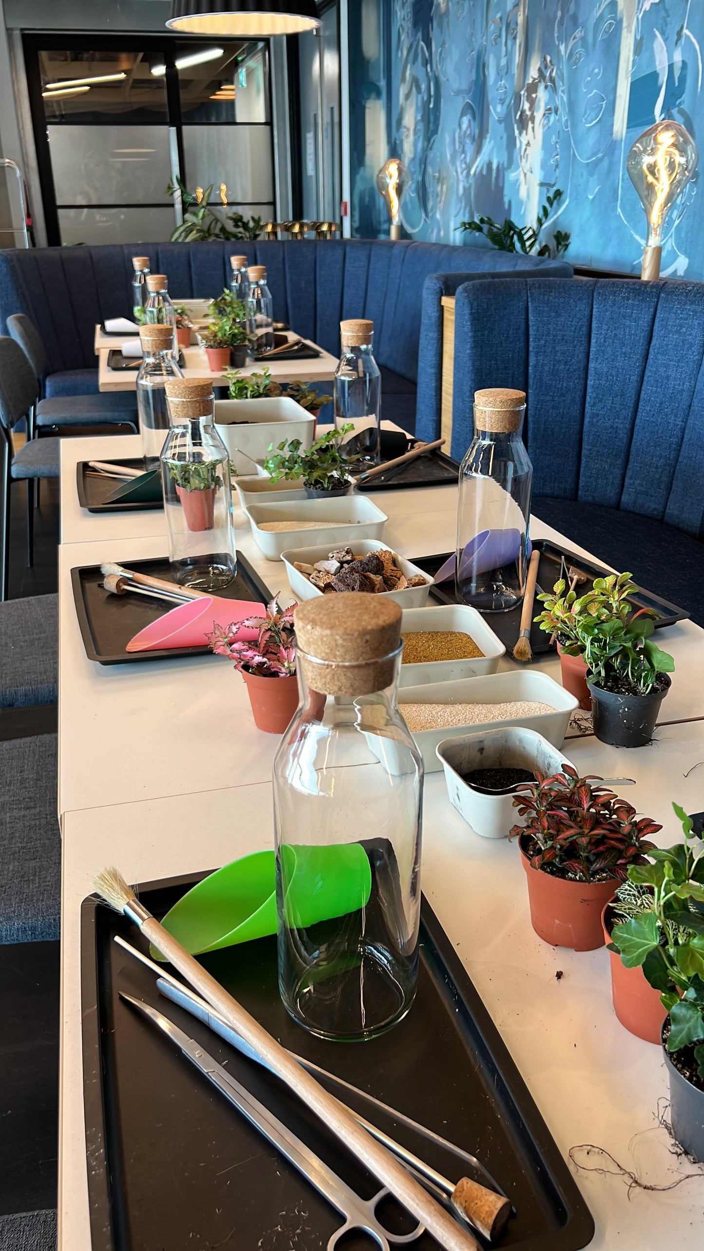 14th August - Unity Place Terrarium Workshop