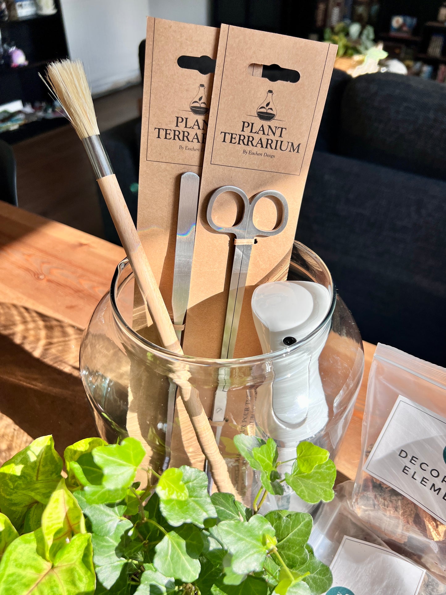 XL DIY Terrarium Kit With Plants + Tools