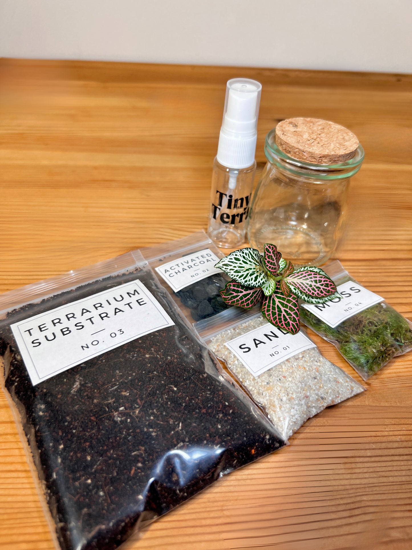 DIY Mini Moss Terrarium Kit