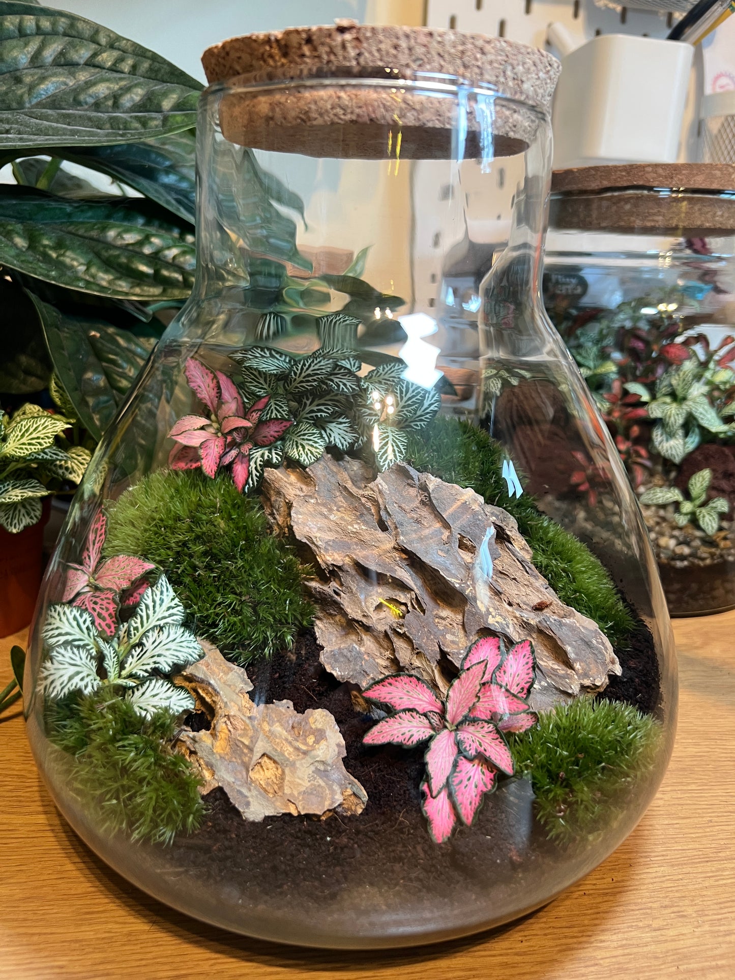 27th November - The Coal Hatch Terrarium Workshop