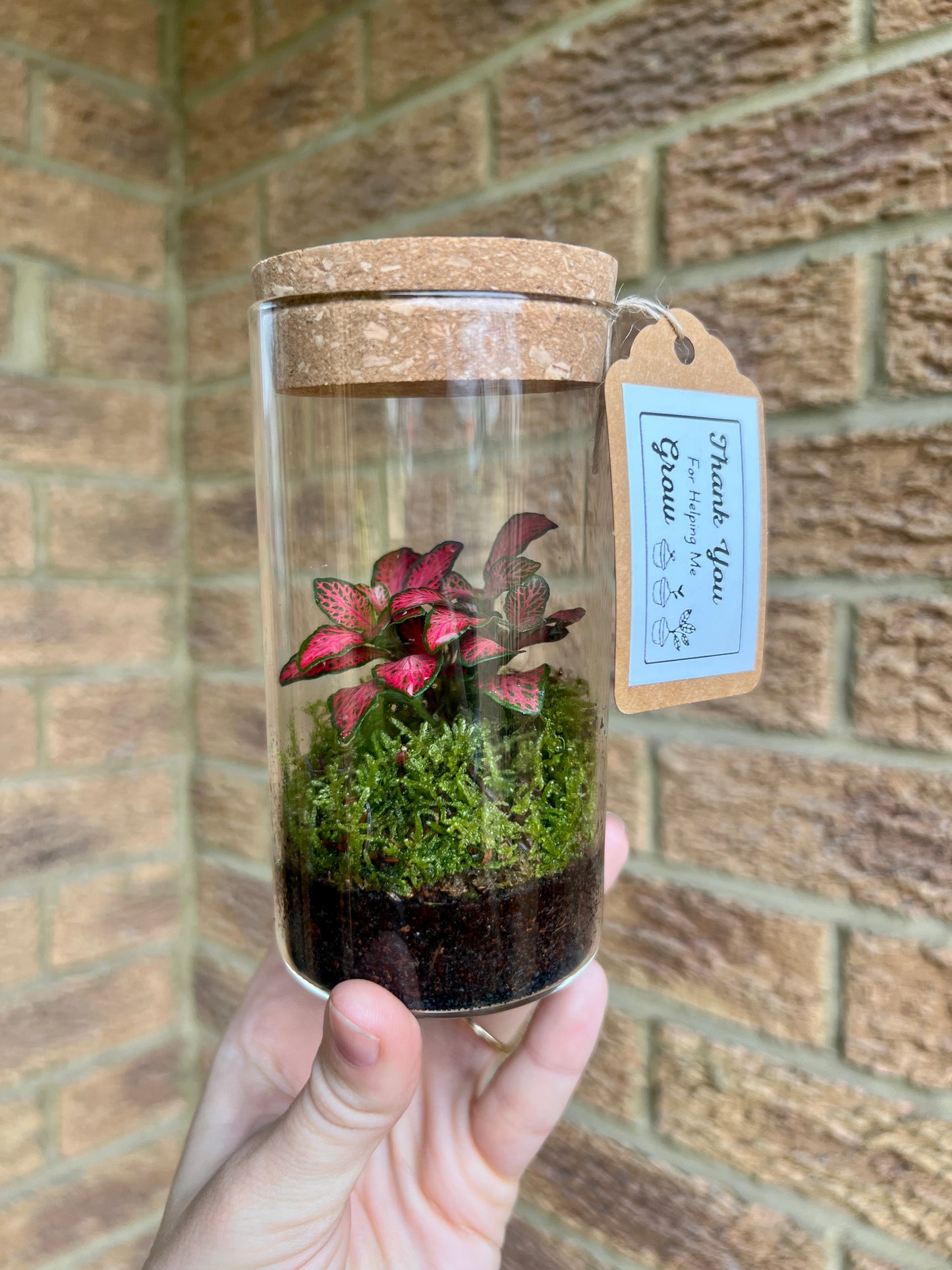 Thank You Teacher Terrarium