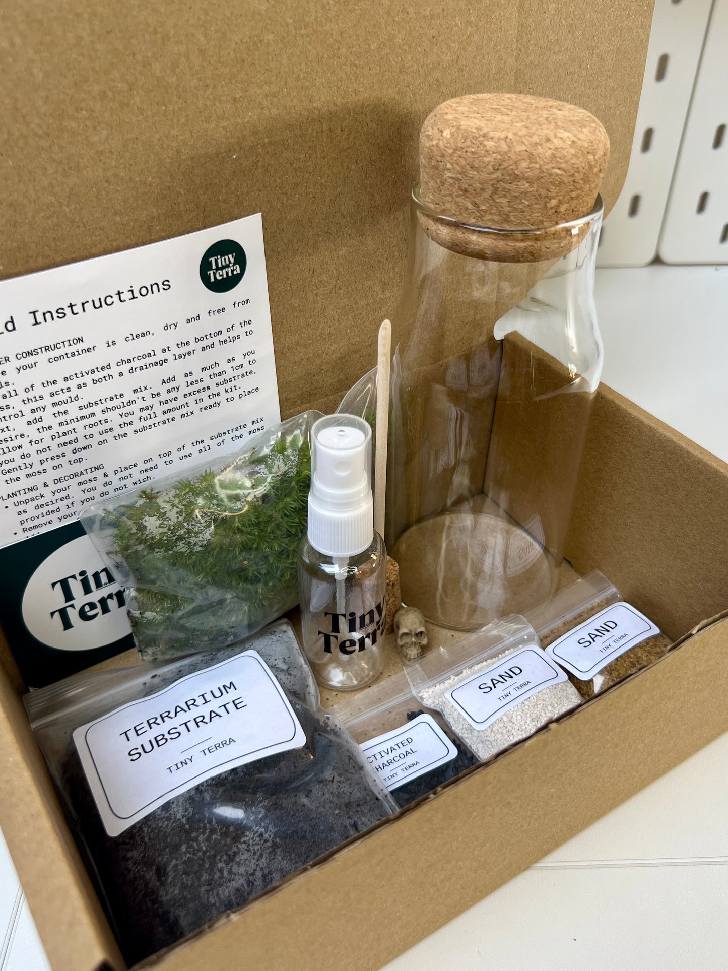 DIY Skull Terrarium Kit