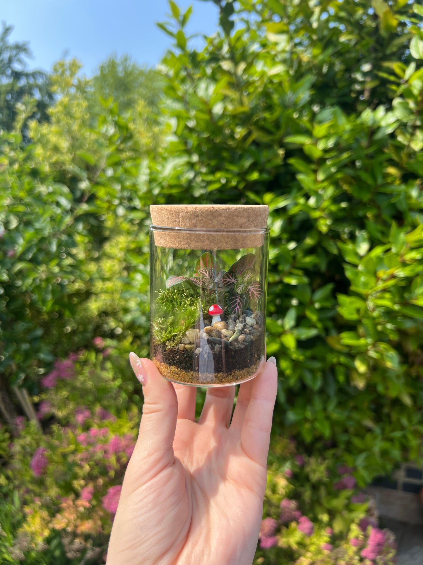 DIY Mini Mushroom Terrarium Kit