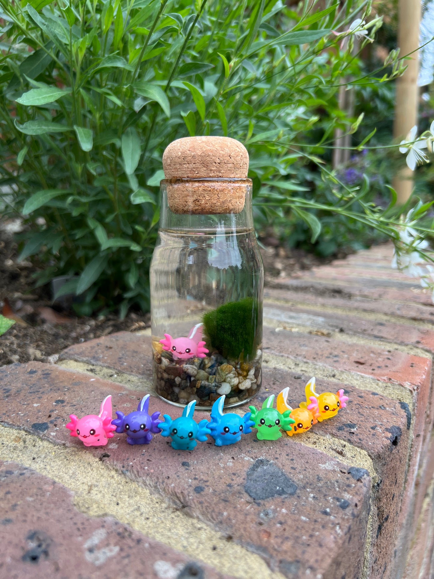 Monty the Mini Moss Ball with Mini Axolotl