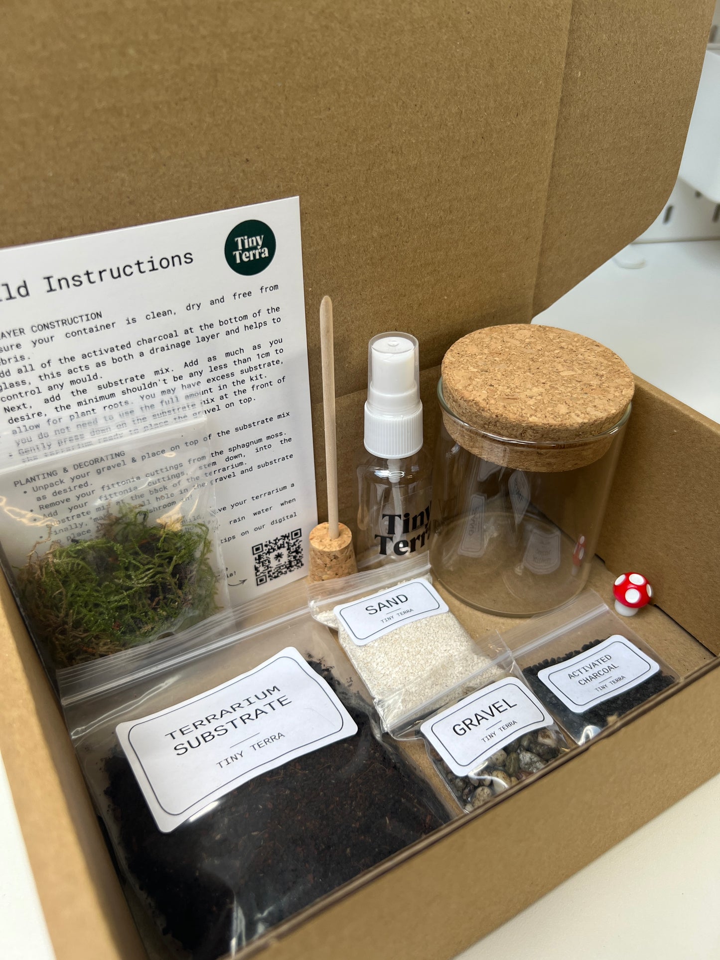 DIY Mini Mushroom Terrarium Kit