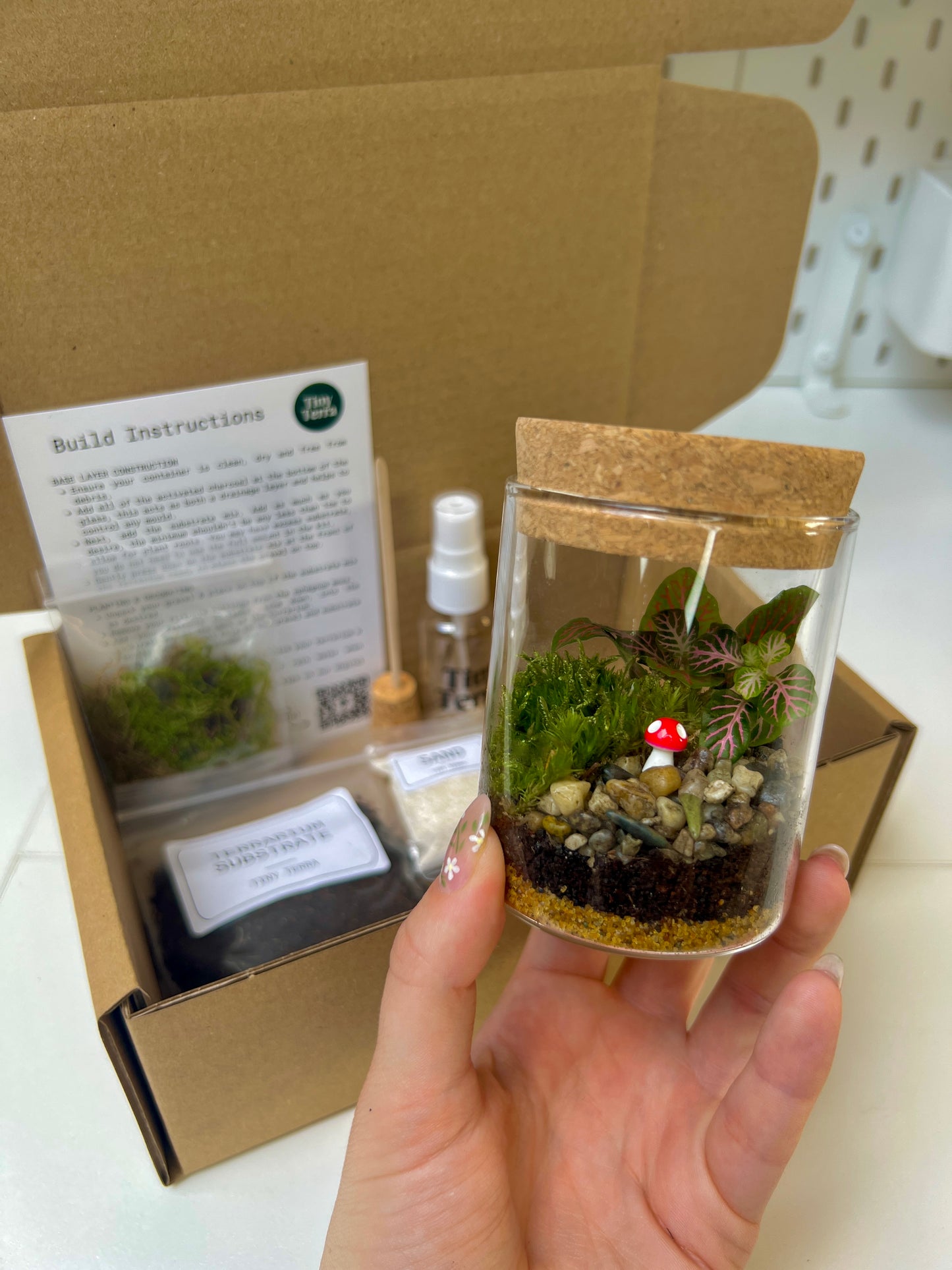 DIY Mini Mushroom Terrarium Kit