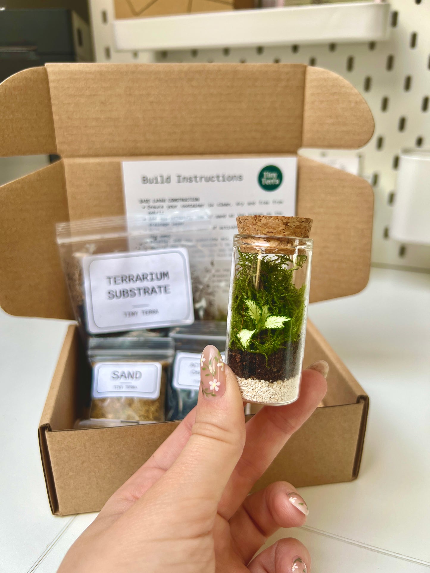 DIY Tiniest Terra Terrarium Kit