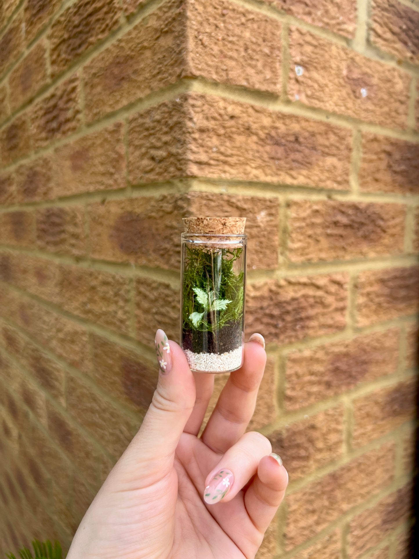 DIY Tiniest Terra Terrarium Kit
