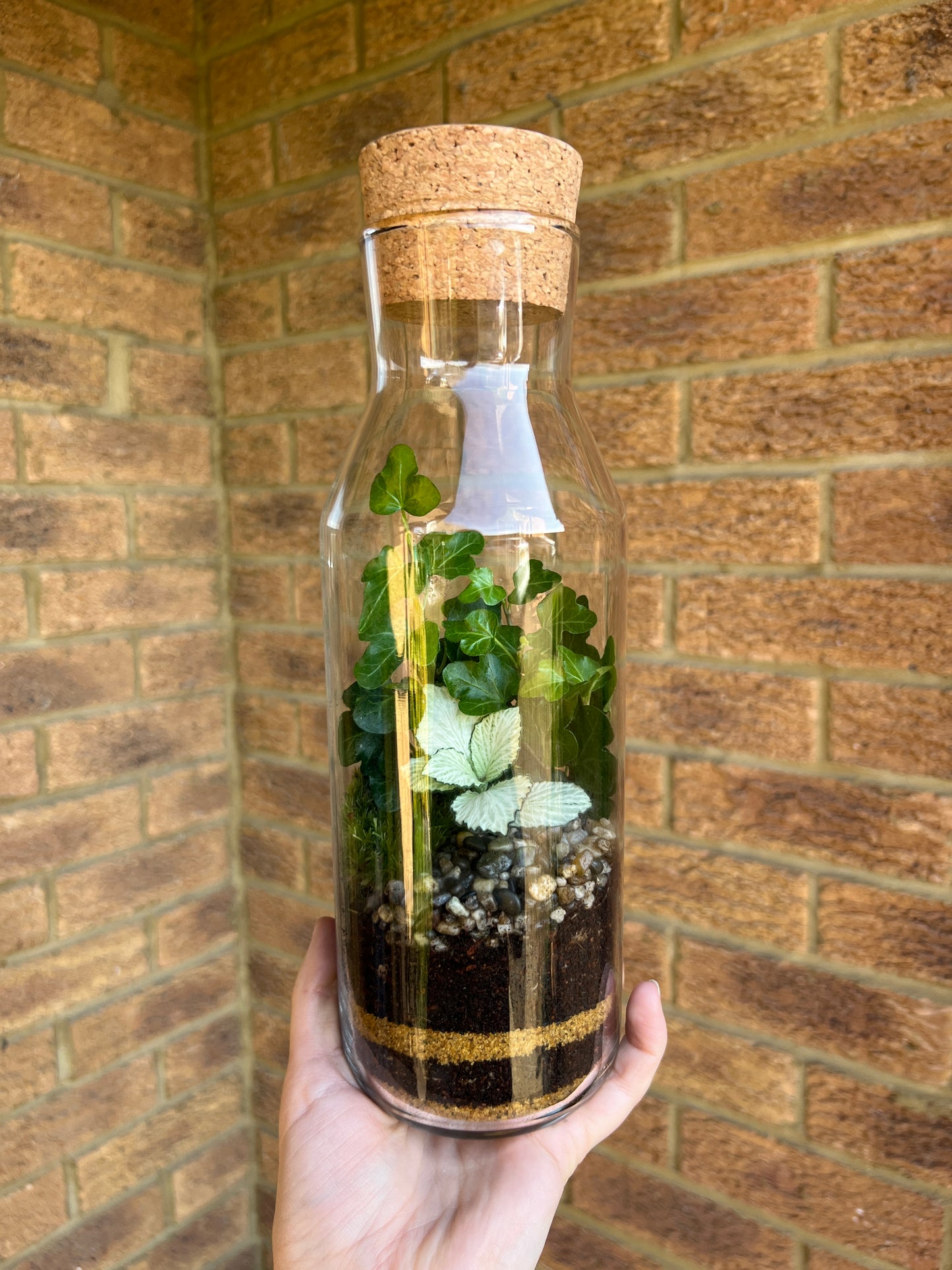 Bottle Terrarium DIY Kit