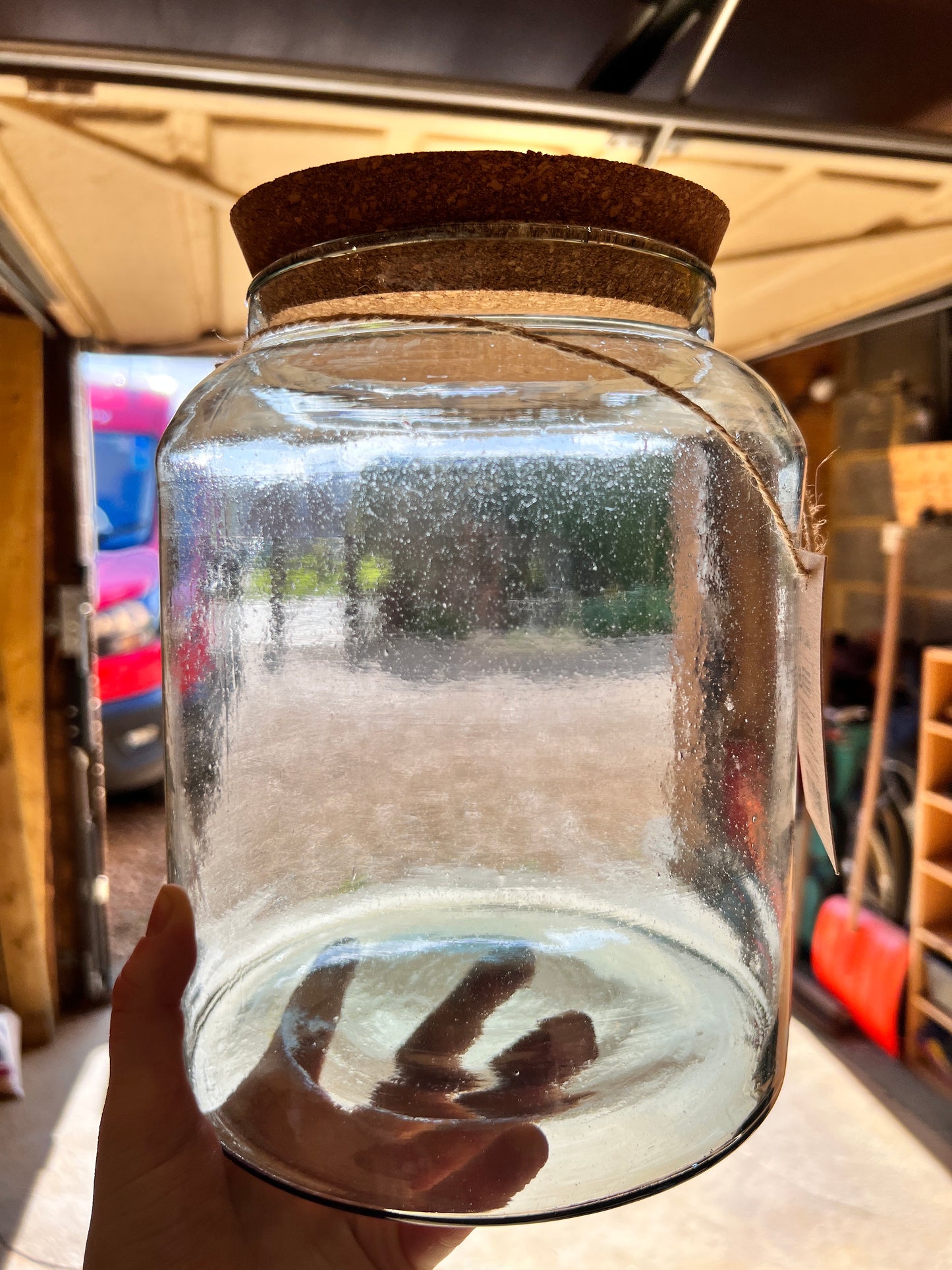 IMPERFECT GLASS - DIY Terrarium Kit With Plants