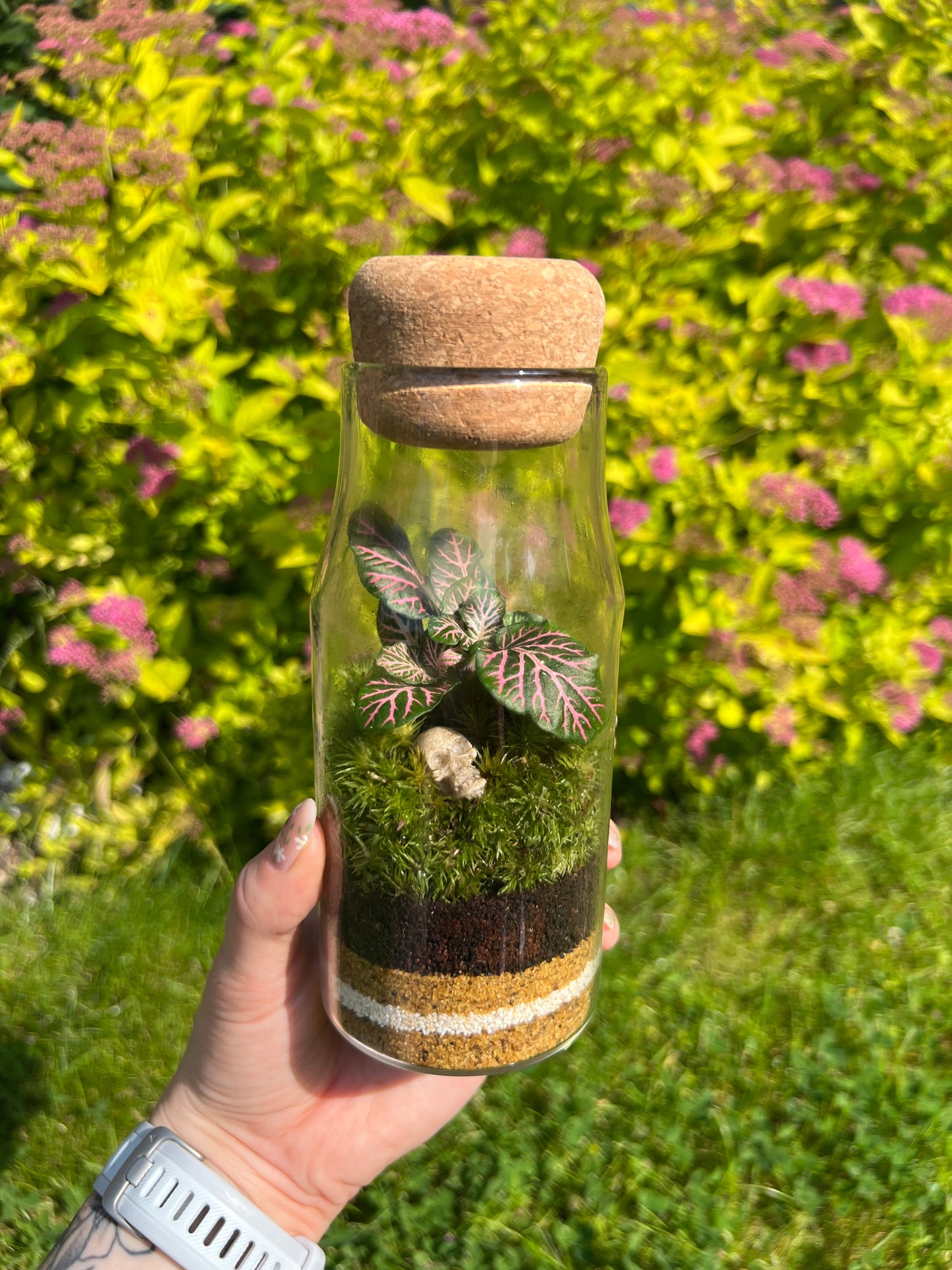 DIY Skull Terrarium Kit