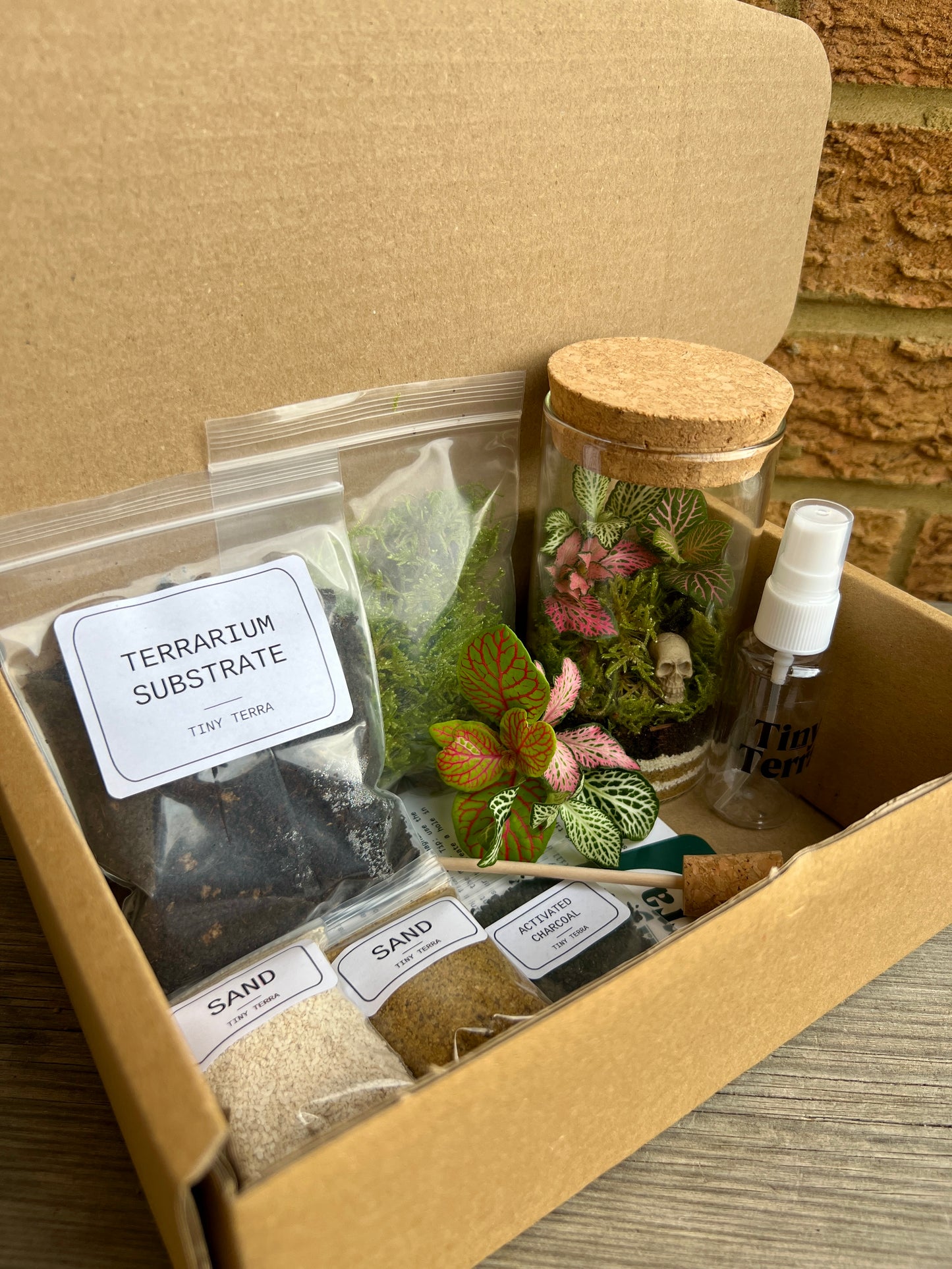 Mother’s Day DIY Terrarium Kit Bundle