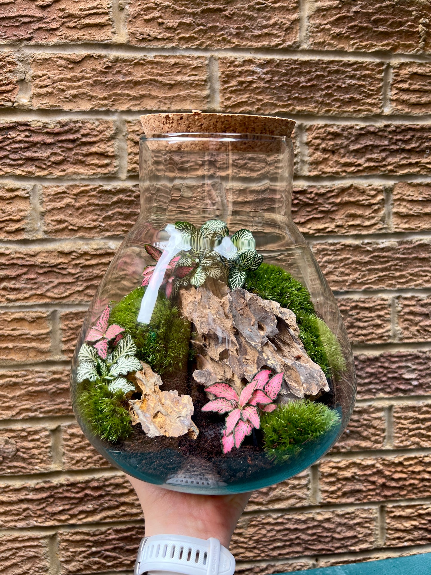 27th November - The Coal Hatch Terrarium Workshop