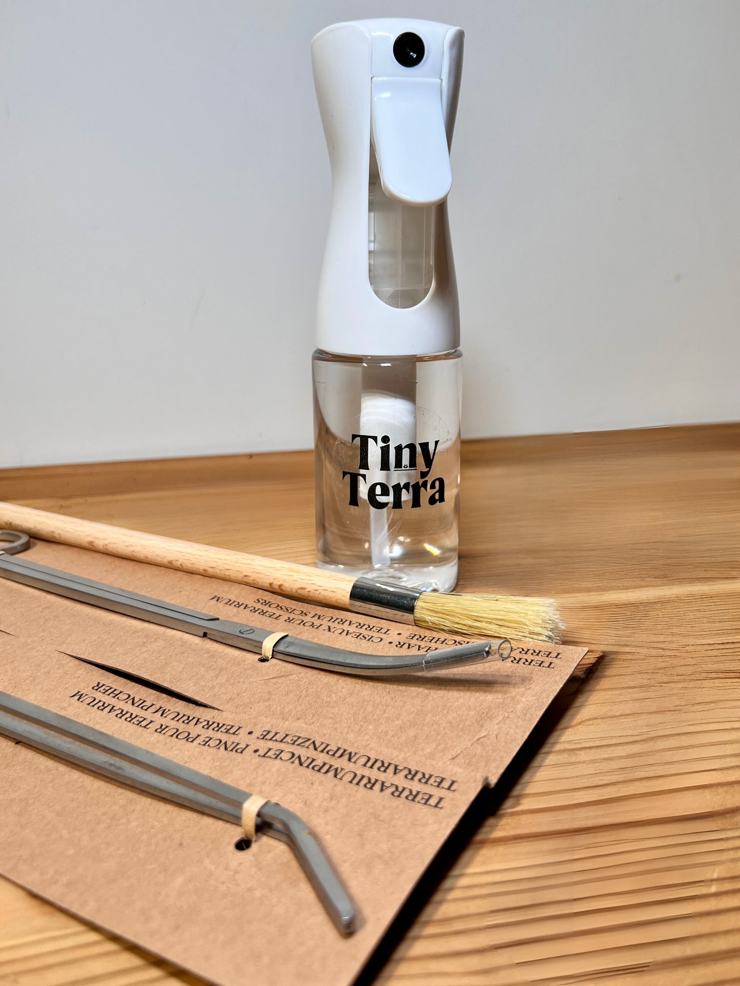 IMPERFECT GLASS - DIY Terrarium Kit With Plants