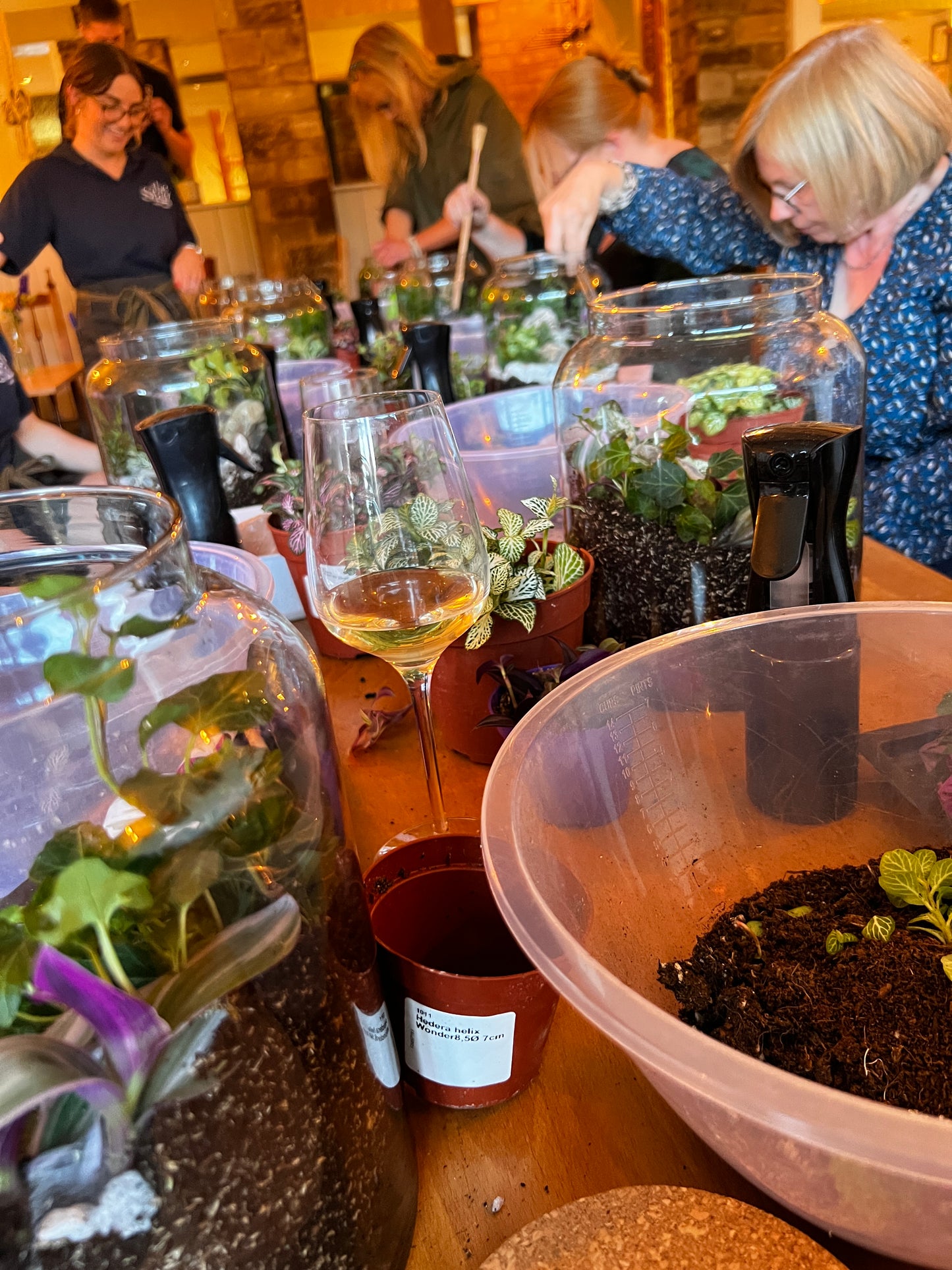 28th July - Fluff Studios XL Terrarium Workshop