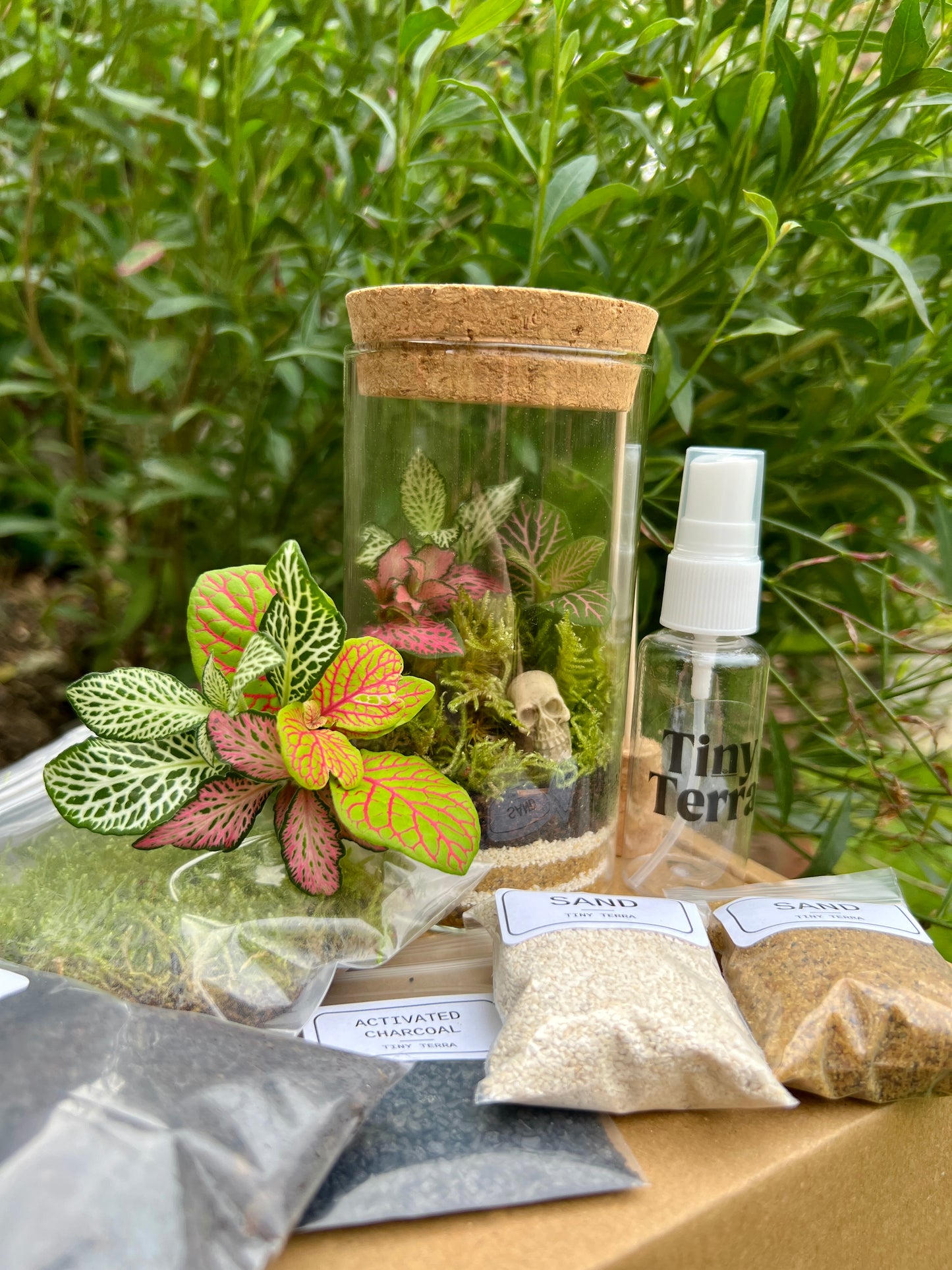 DIY Skull Terrarium Kit