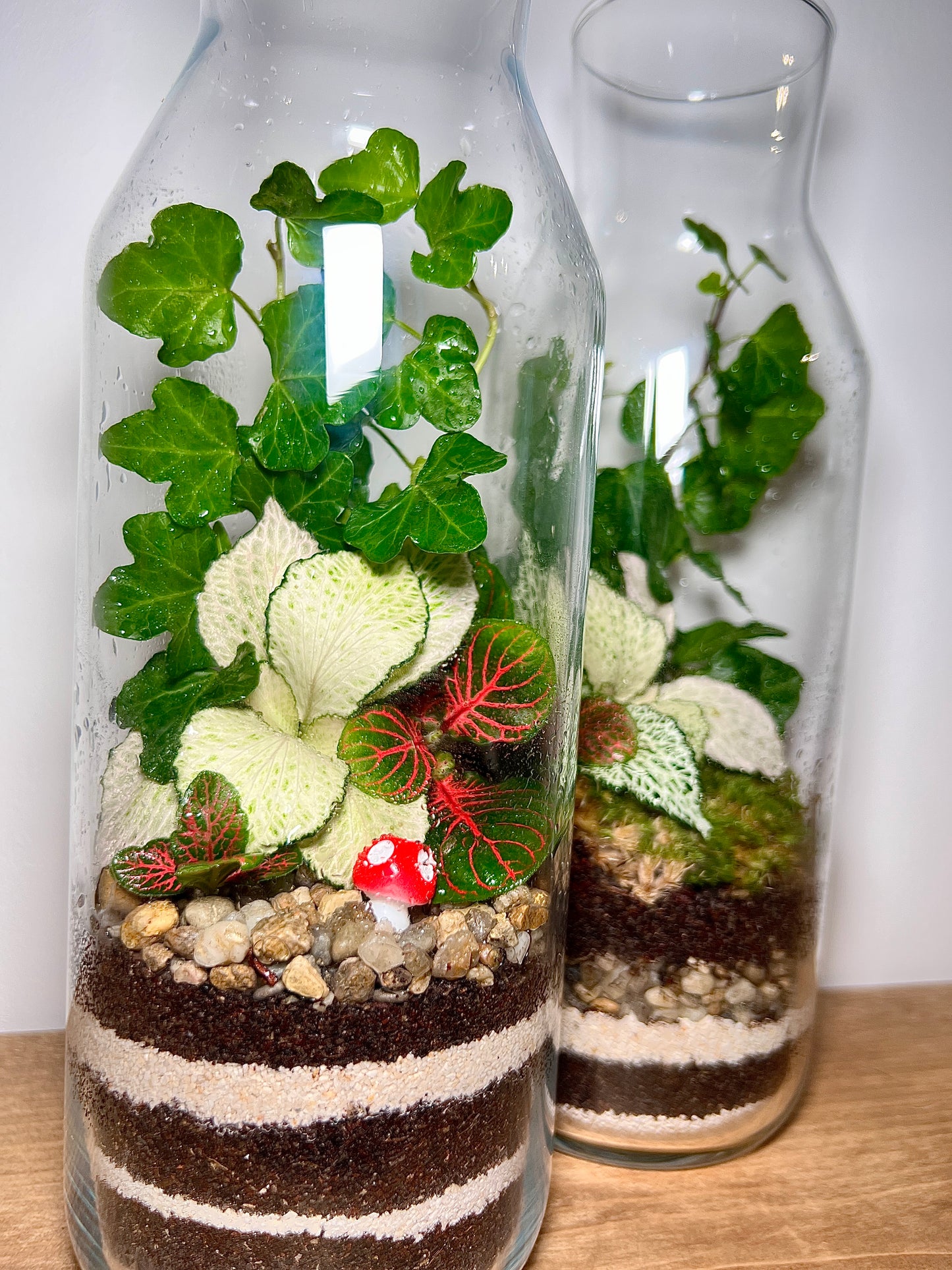 1st July - Unity Place Terrarium Workshop
