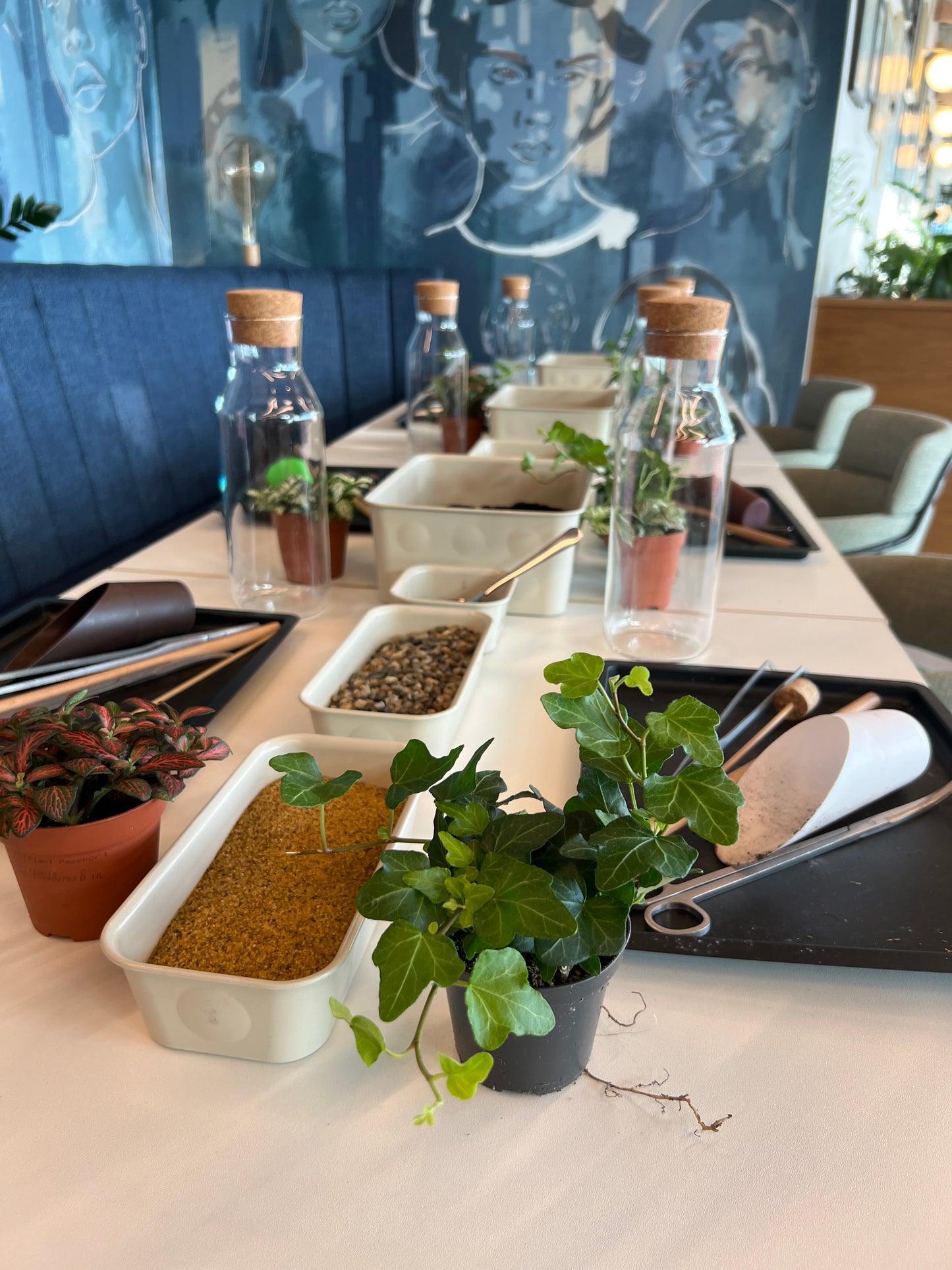 14th August - Unity Place Terrarium Workshop