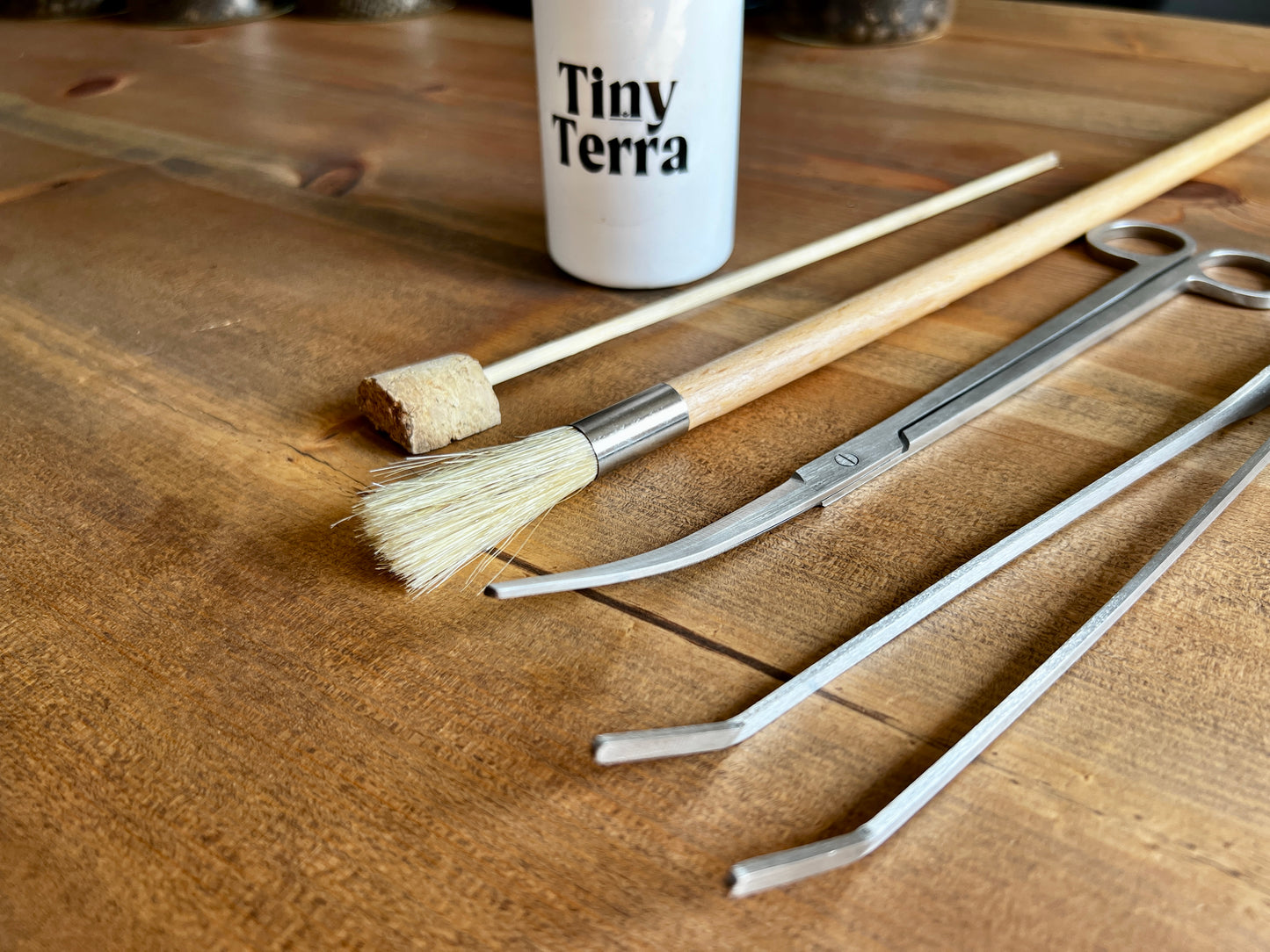 Terrarium Tools | Scissors, Tweezers, Brush & Spray Bottle