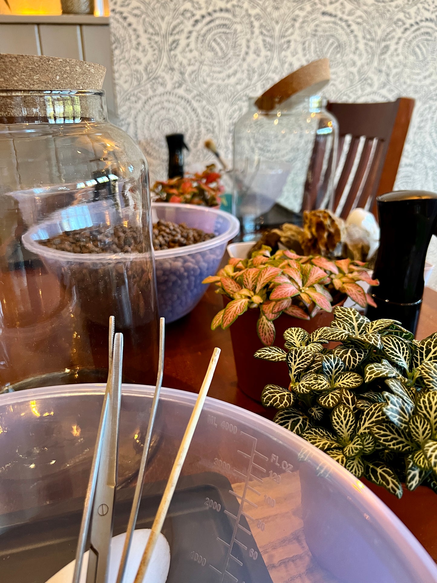 25th February - The Coal Hatch Terrarium Workshop