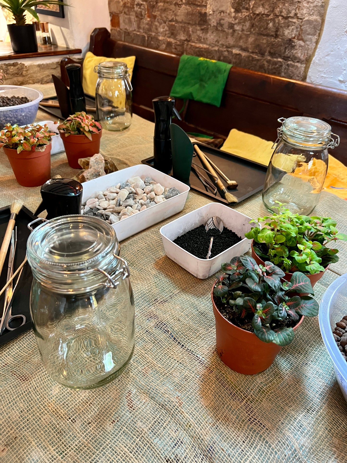 Great Gelato Terrarium Workshop - Multiple Dates