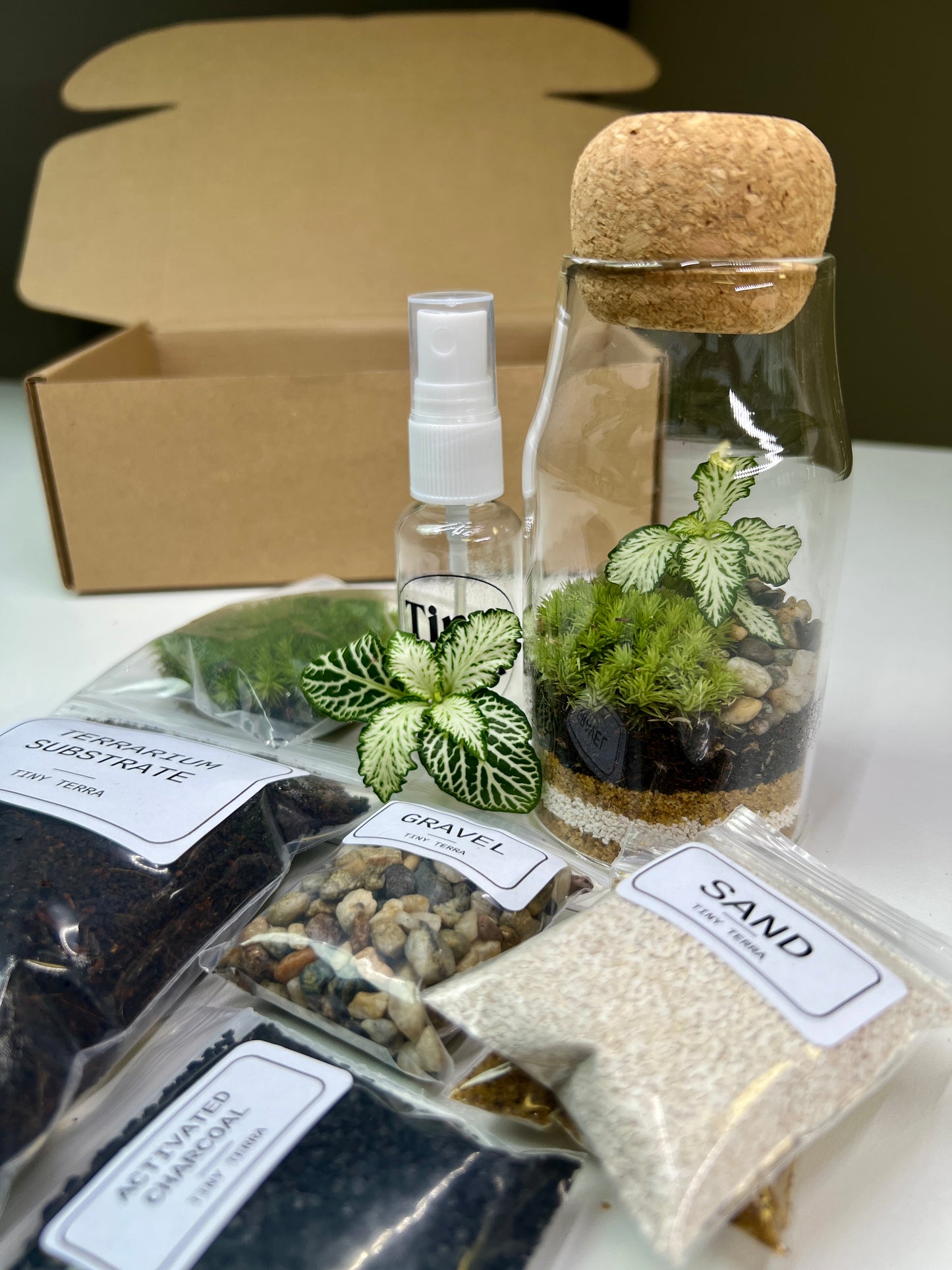 DIY Tiny Tranquility Terrarium Kit