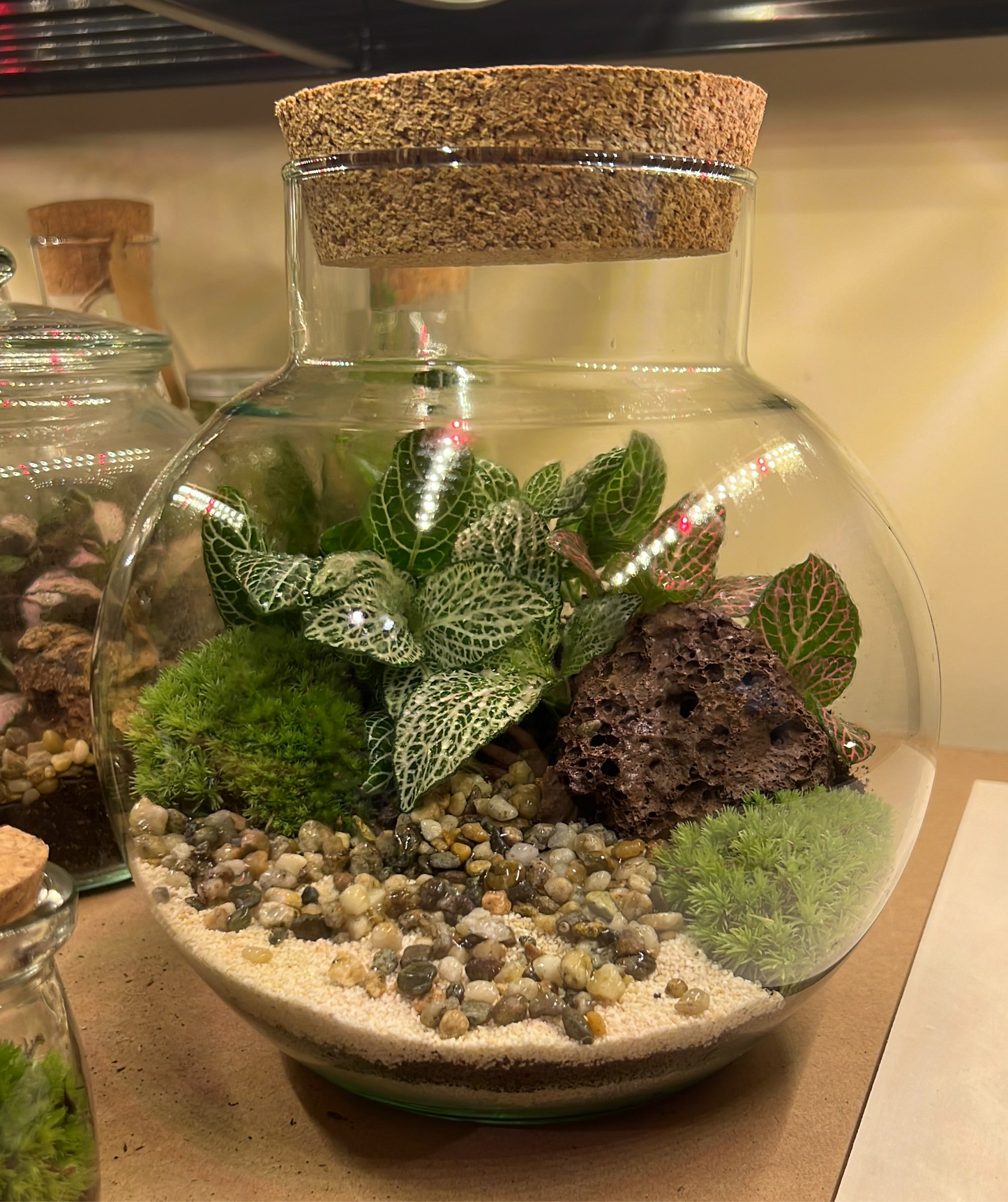18th October - Renu Contrast Therapy & Terrarium Workshop