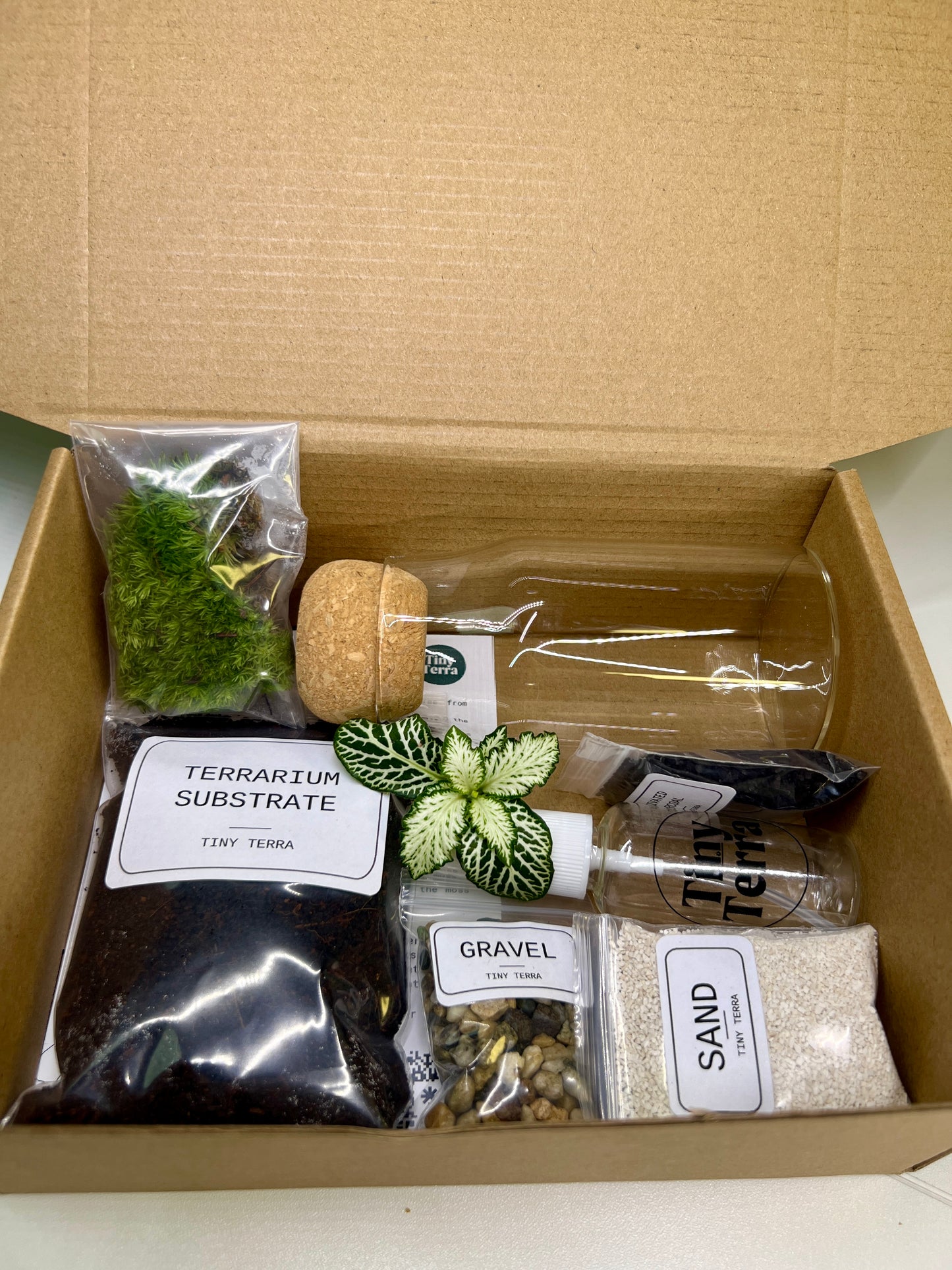 DIY Tiny Tranquility Terrarium Kit