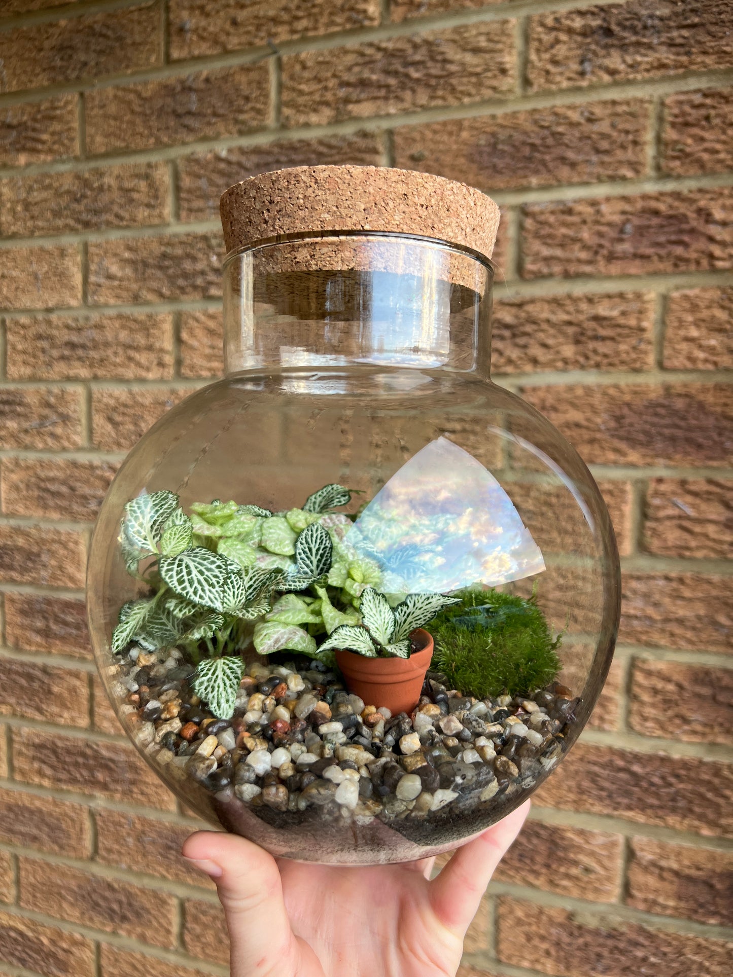 18th October - Renu Contrast Therapy & Terrarium Workshop