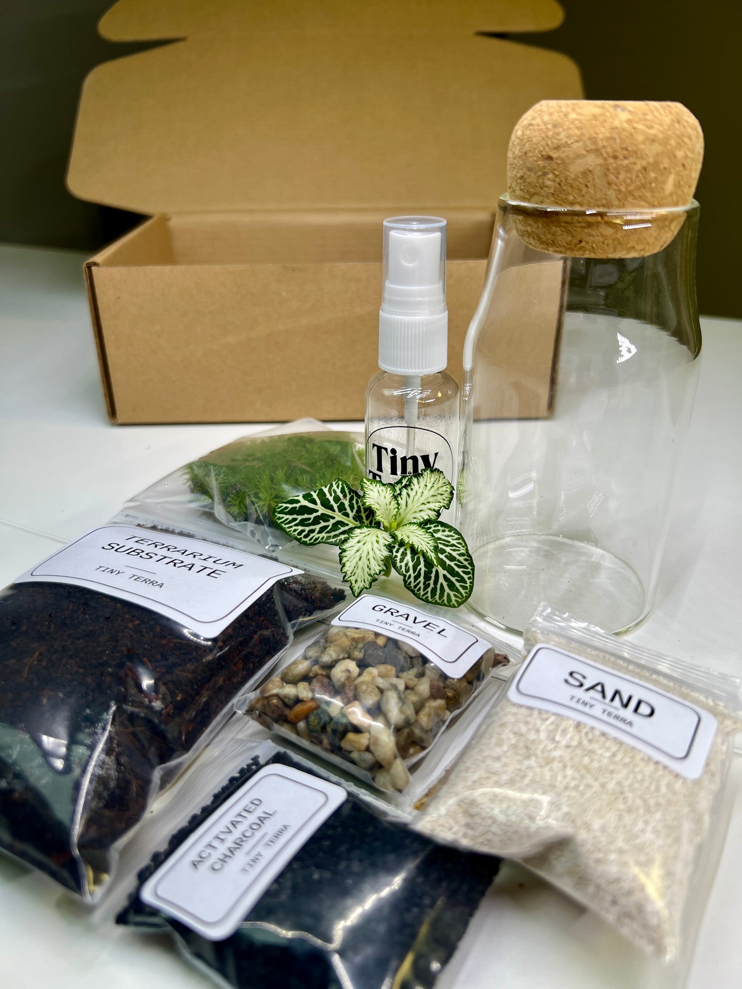 DIY Tiny Tranquility Terrarium Kit