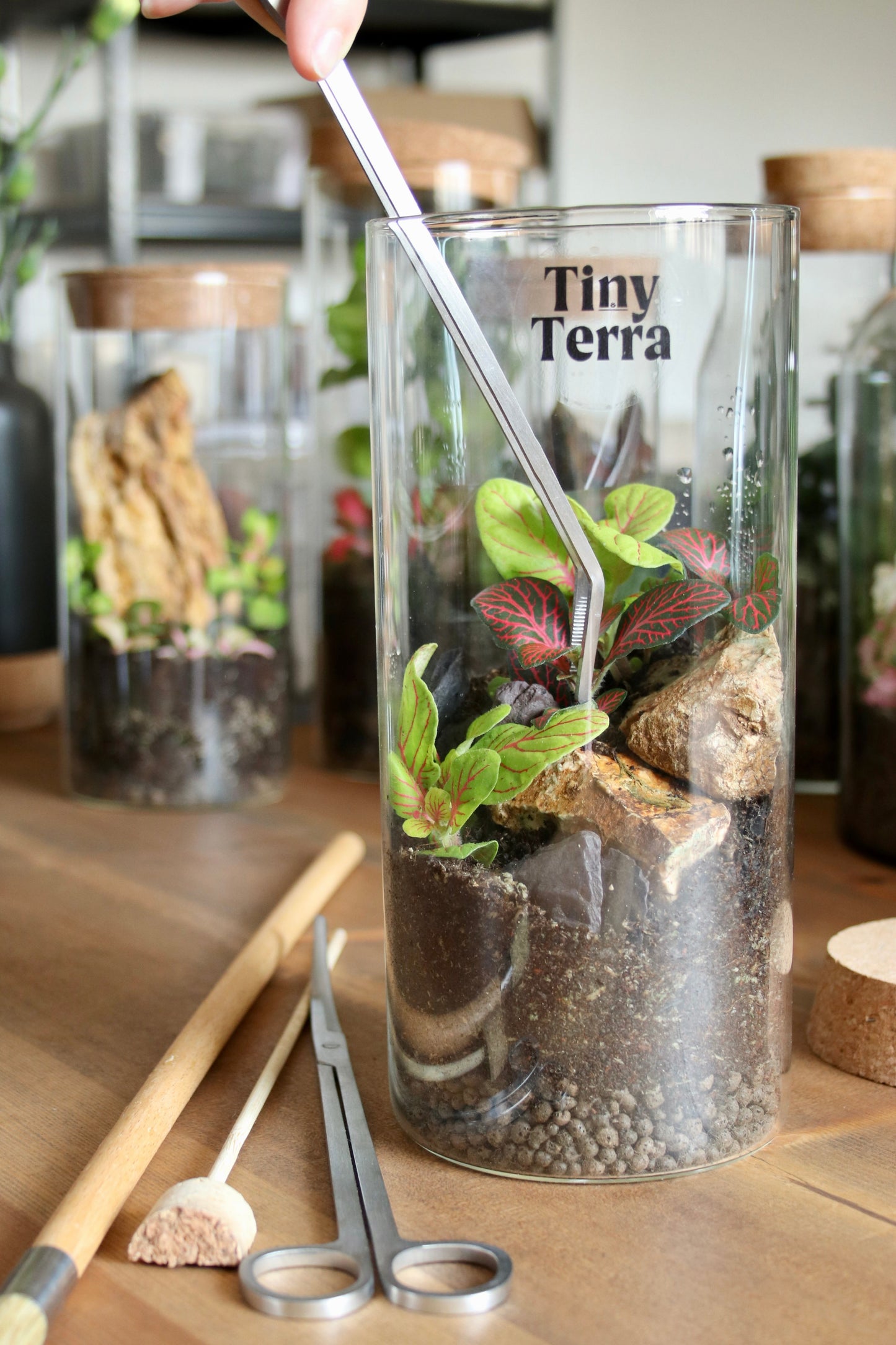 Long Terrarium Tweezers