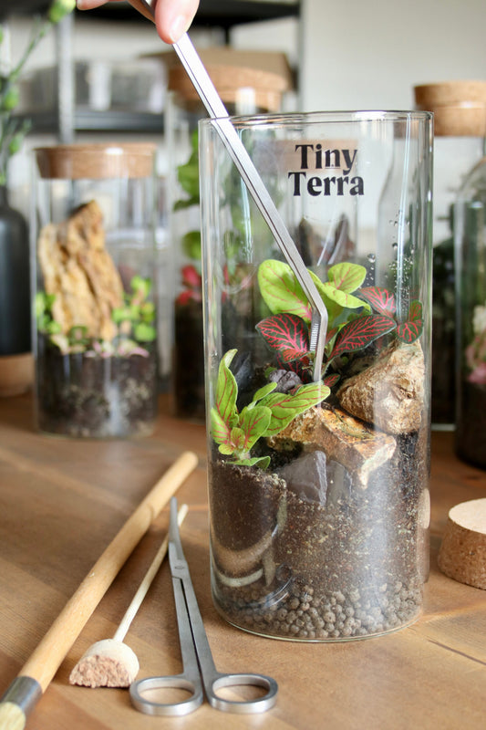 Long Terrarium Tweezers