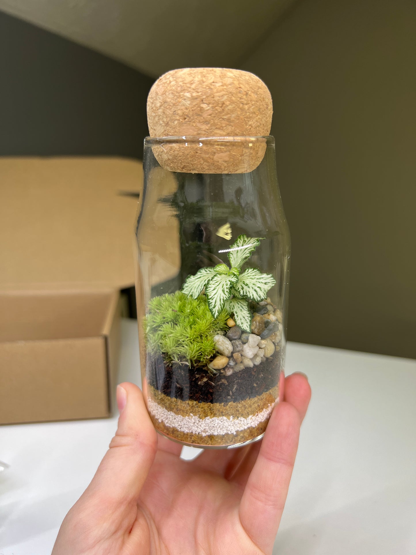 DIY Tiny Tranquility Terrarium Kit