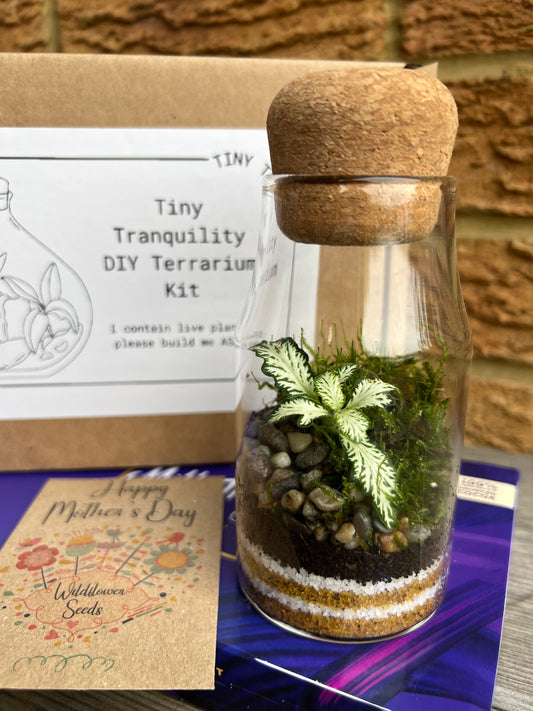 Mother’s Day DIY Terrarium Kit Bundle