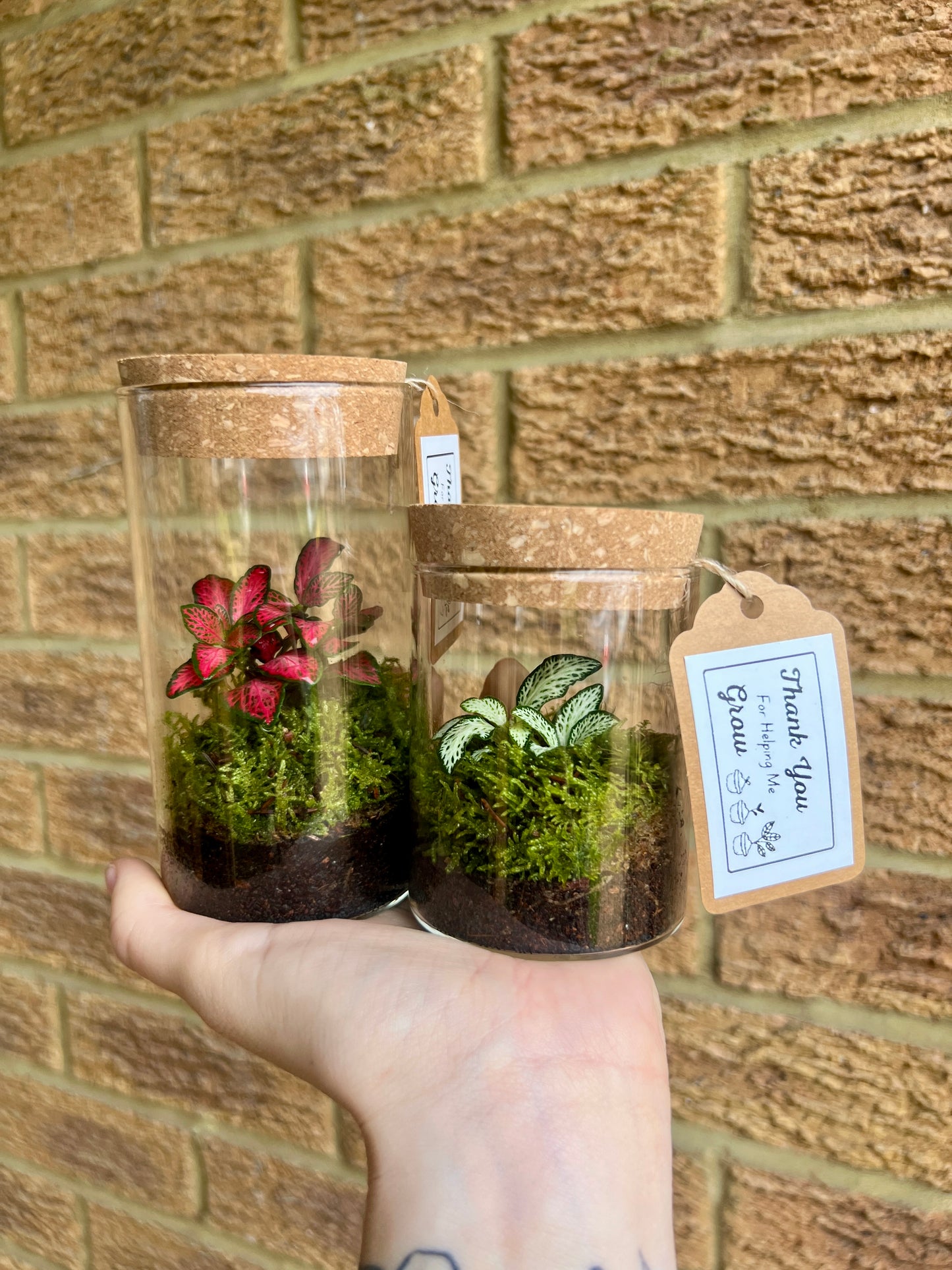 Thank You Teacher Terrarium
