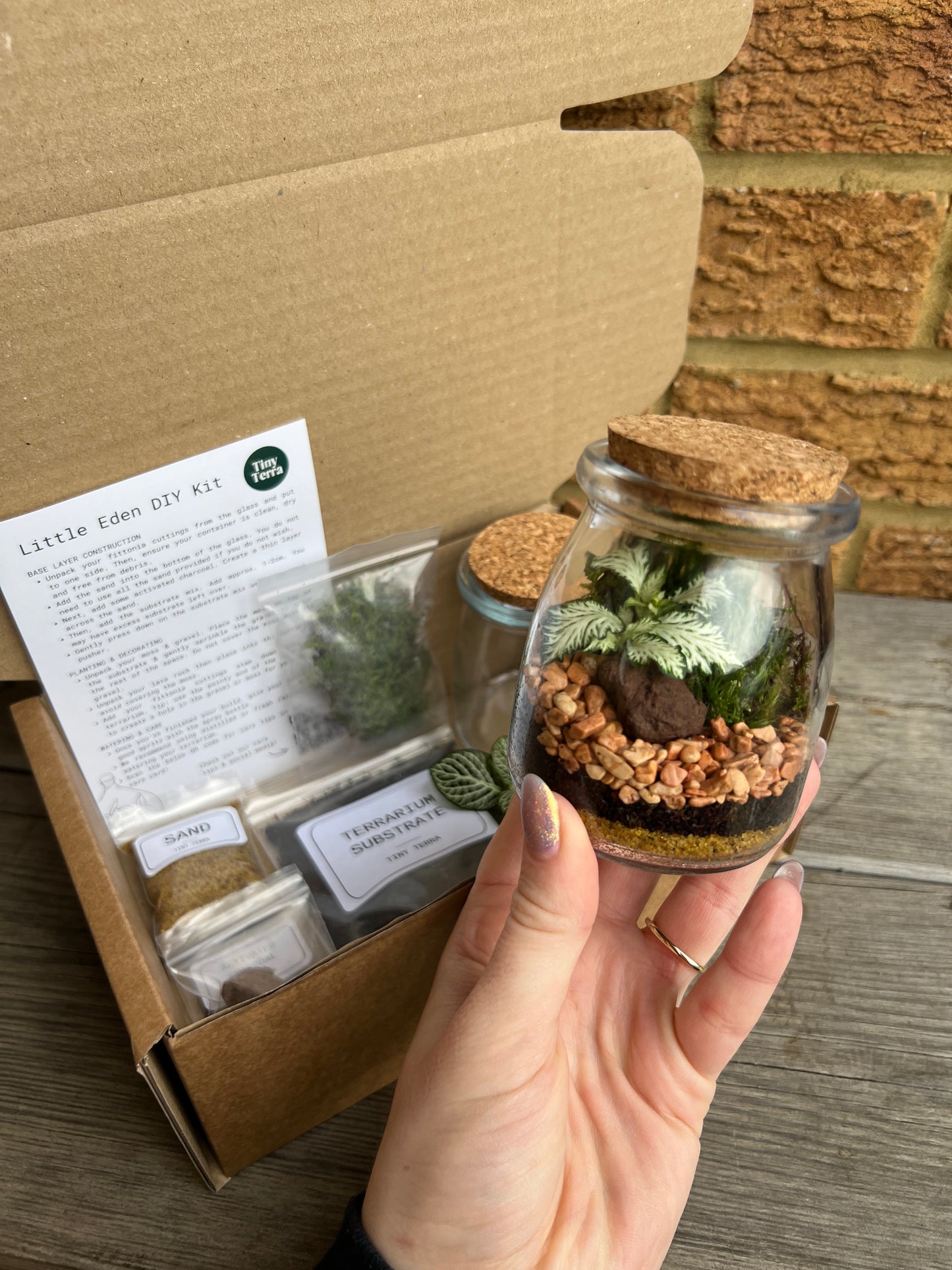DIY Little Eden Terrarium Kit