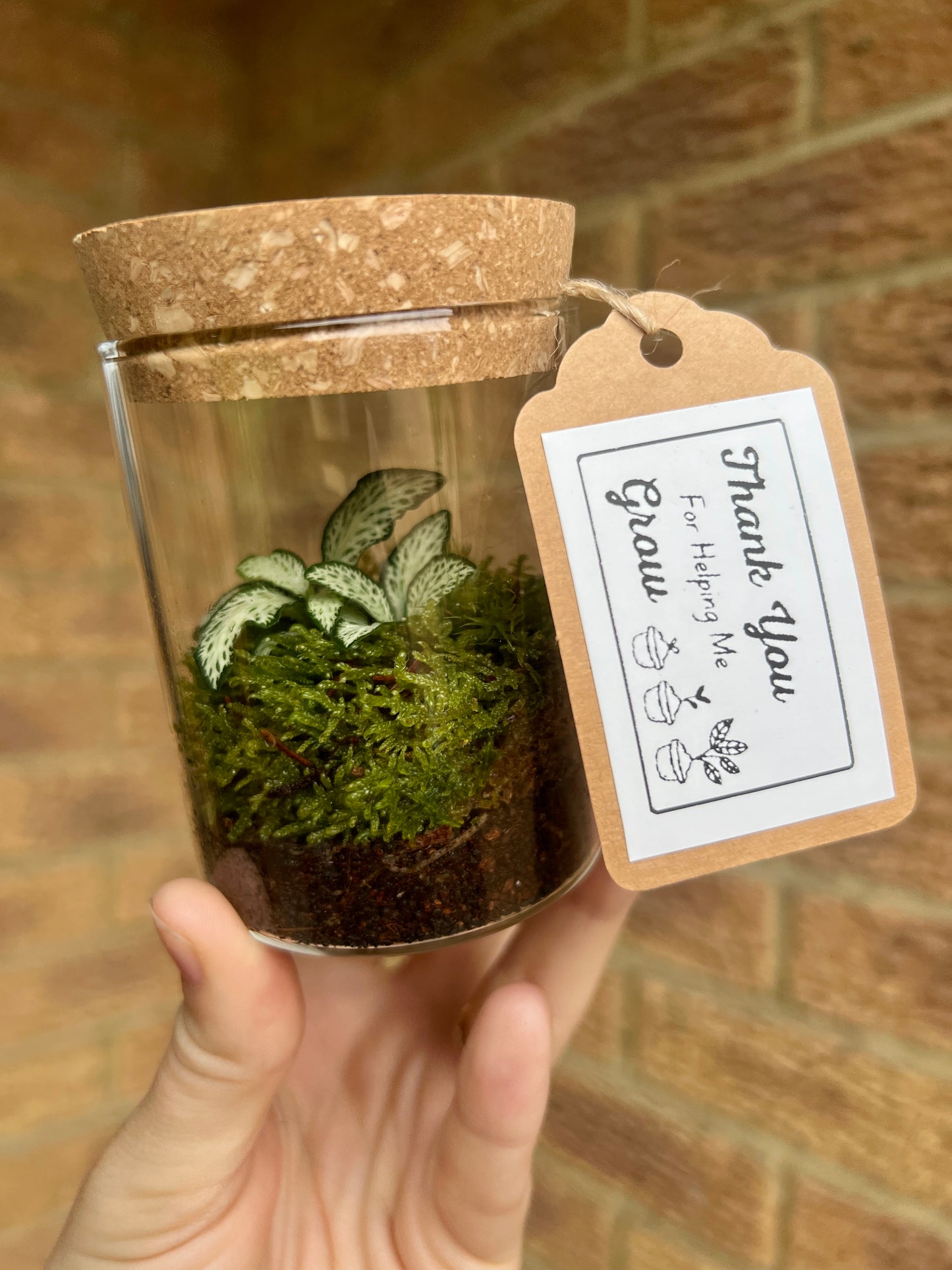 Thank You Teacher Terrarium