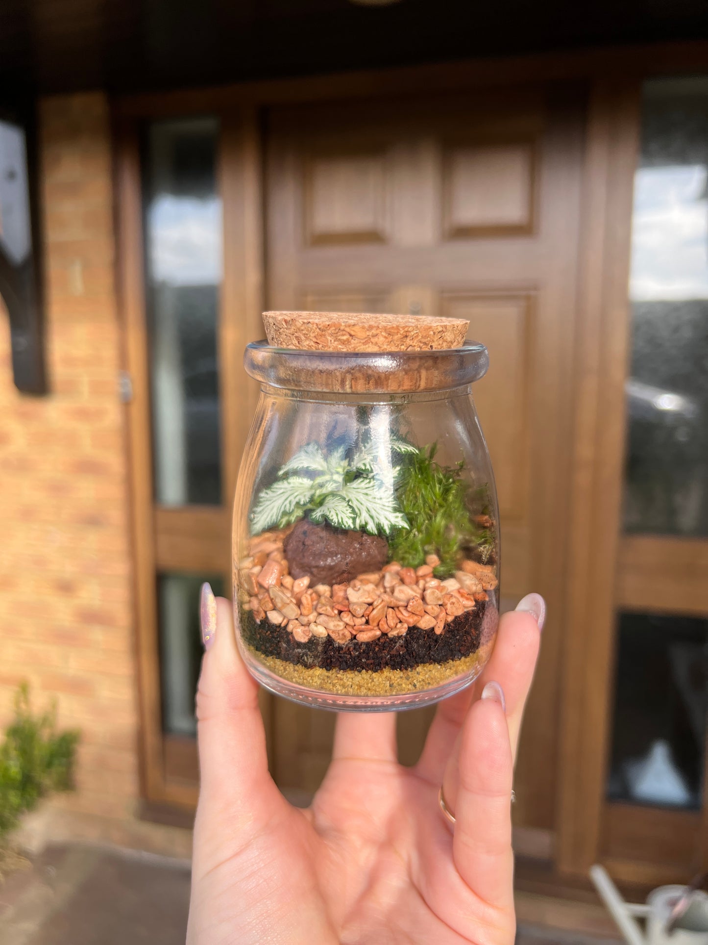 DIY Little Eden Terrarium Kit