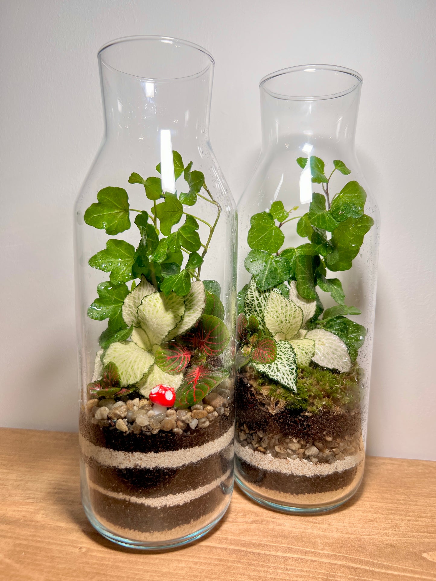 Great Gelato Terrarium Workshop - Multiple Dates