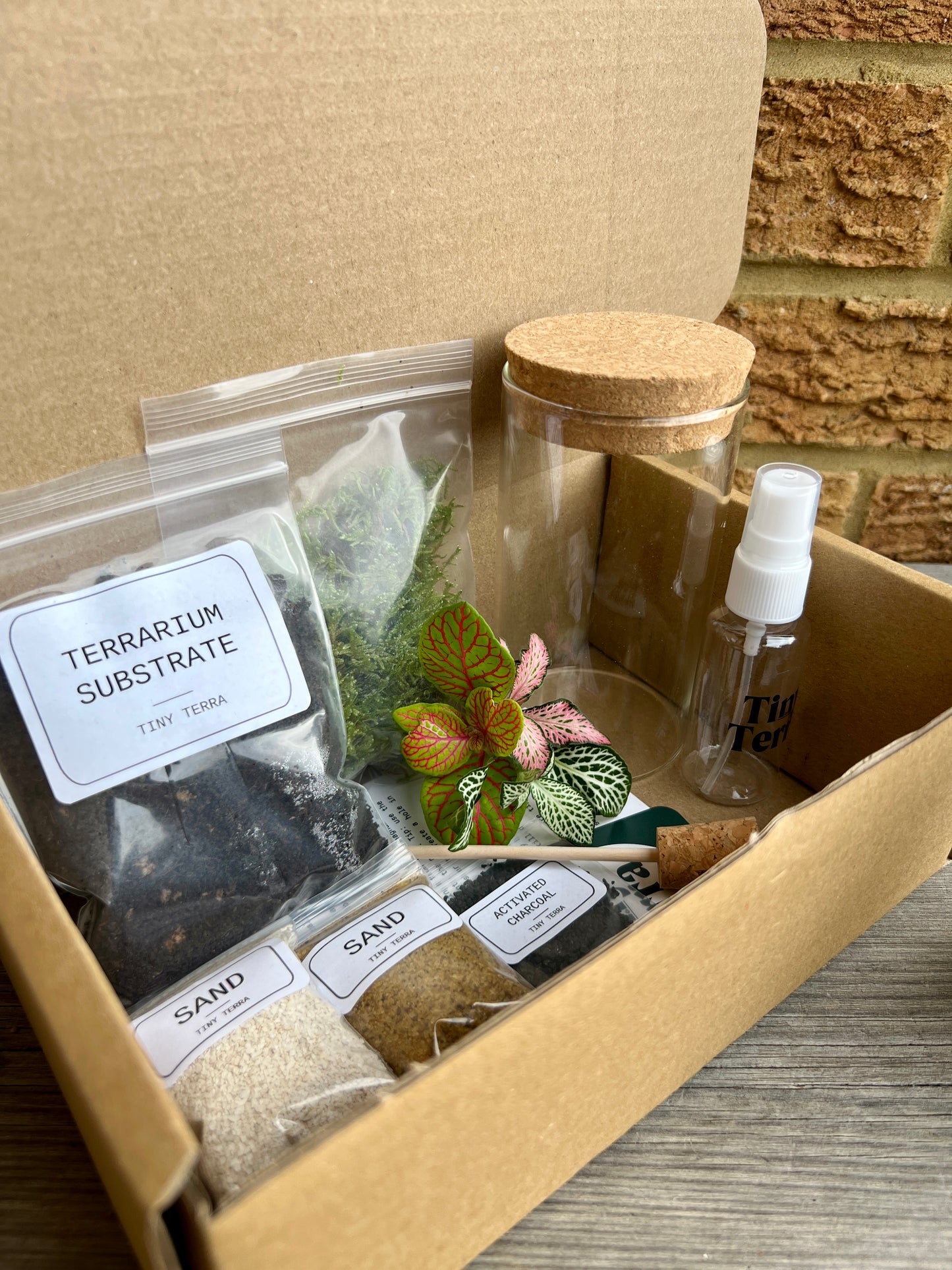 DIY Skull Terrarium Kit