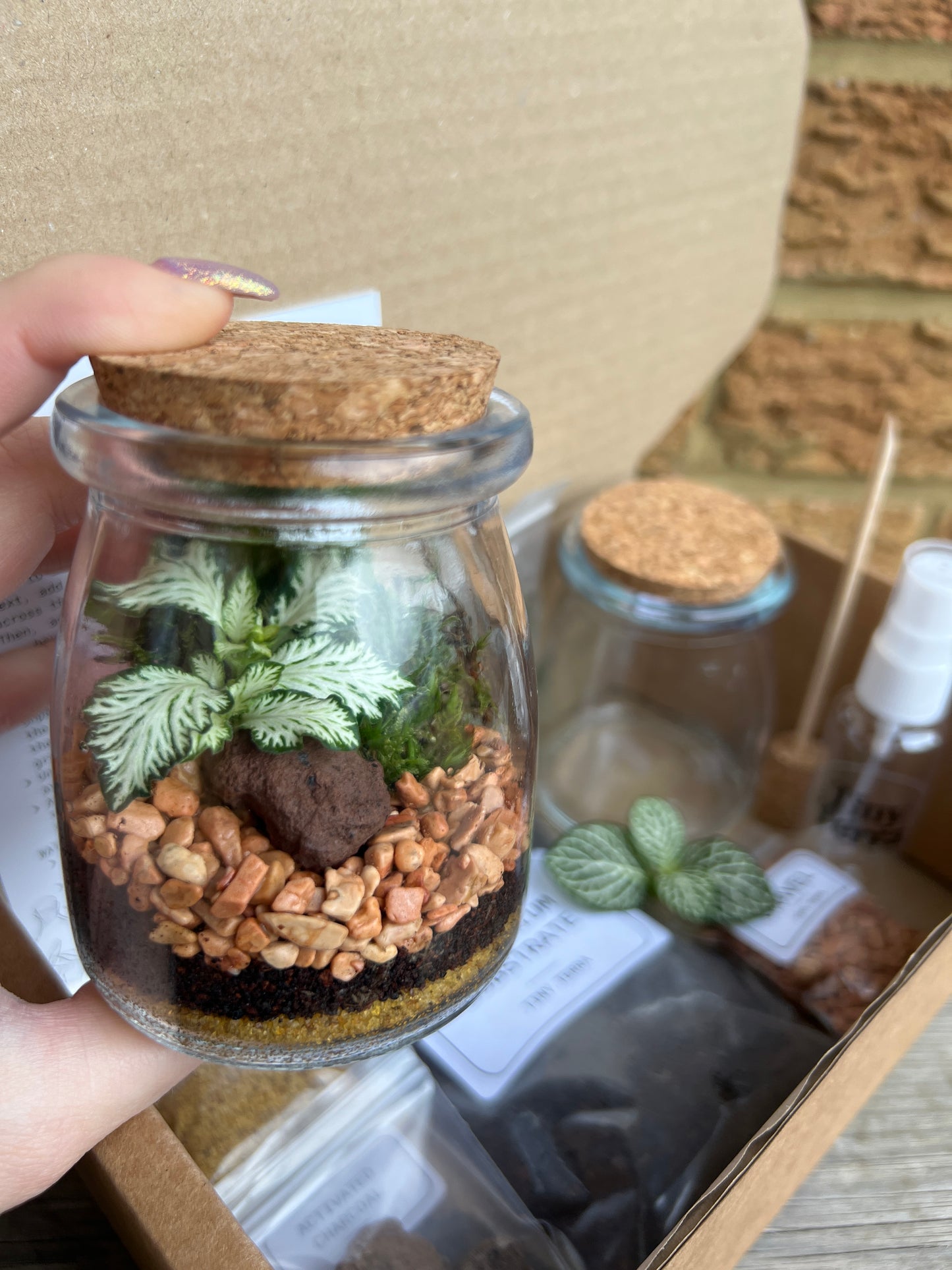 DIY Little Eden Terrarium Kit