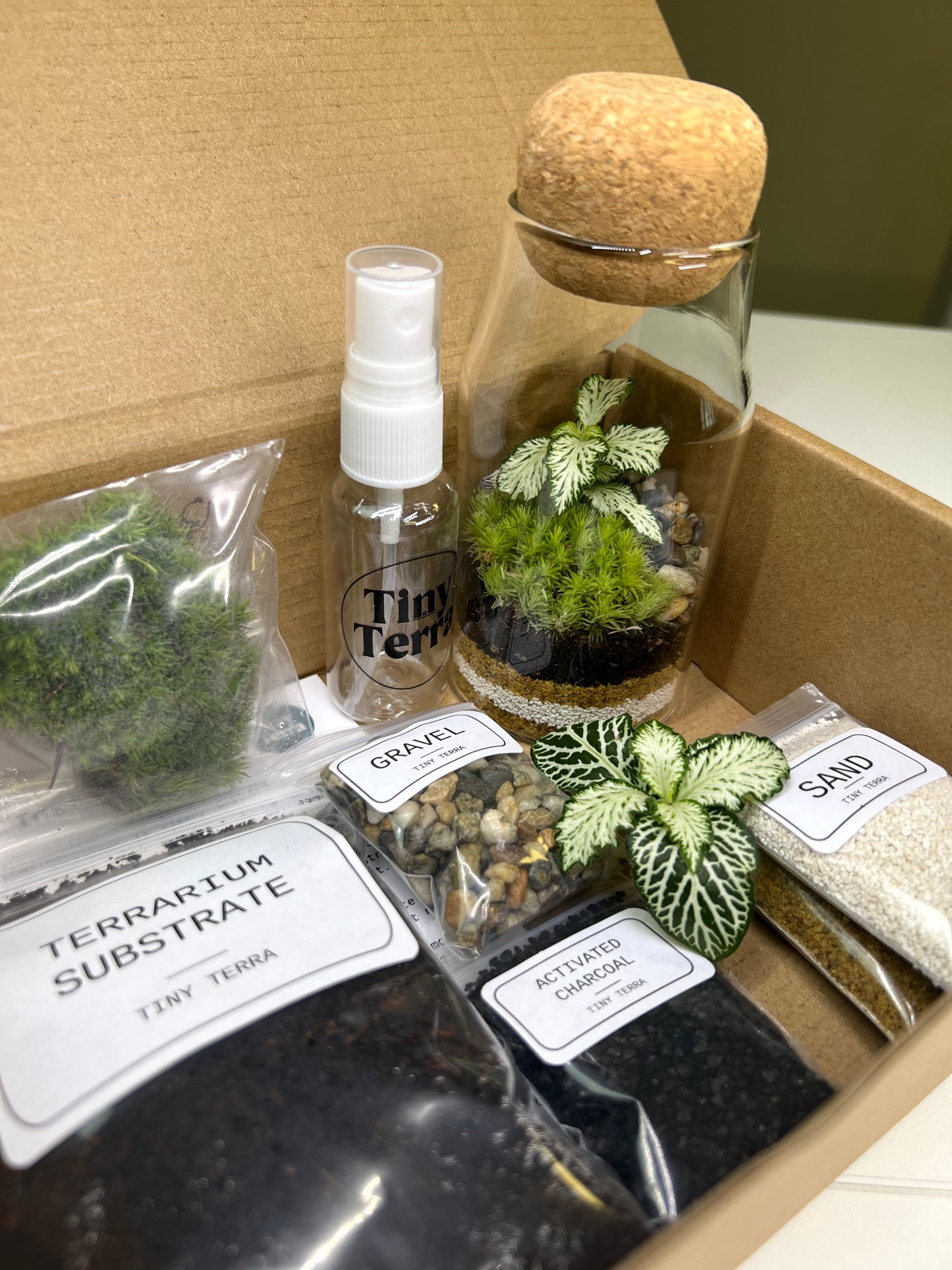 DIY Tiny Tranquility Terrarium Kit