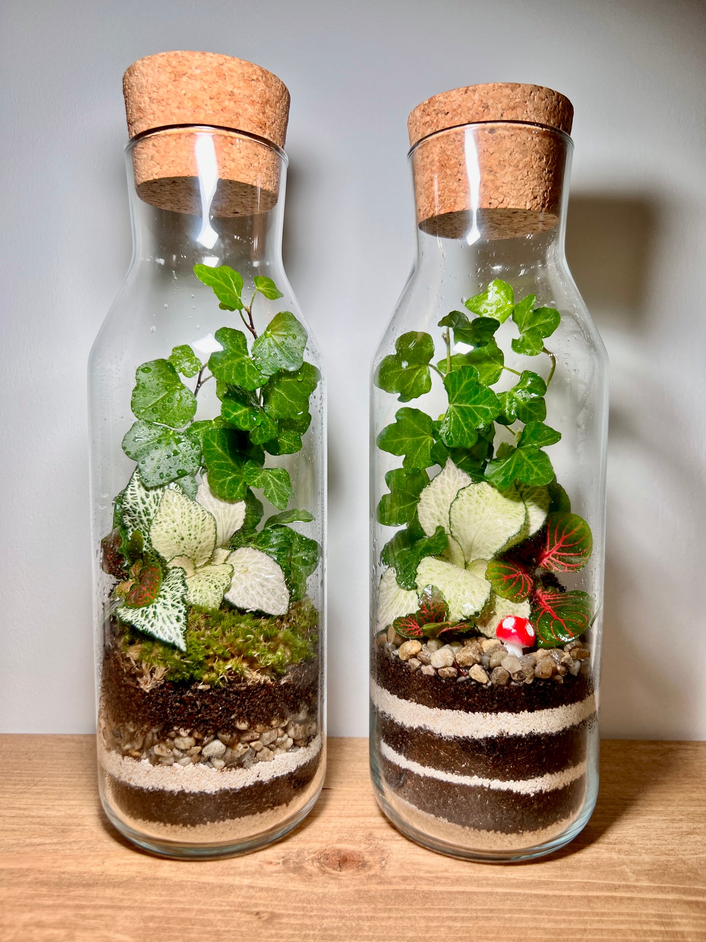 Great Gelato Terrarium Workshop - Multiple Dates